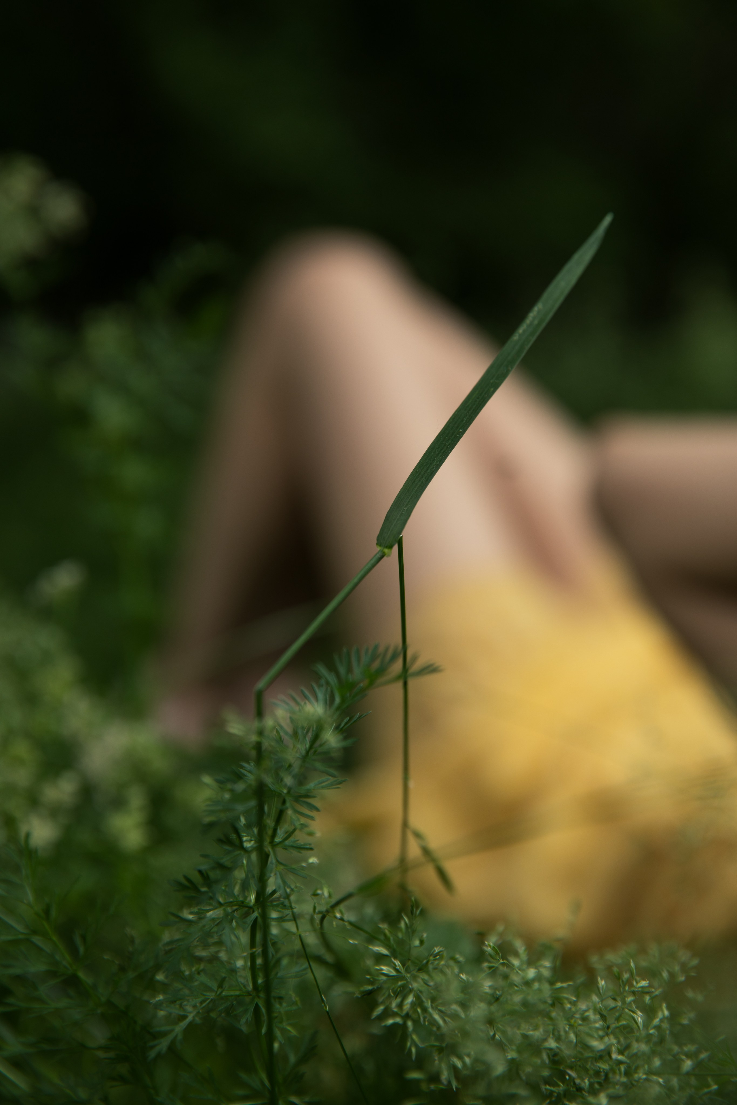 Outside. Фотограф Вадим Семак