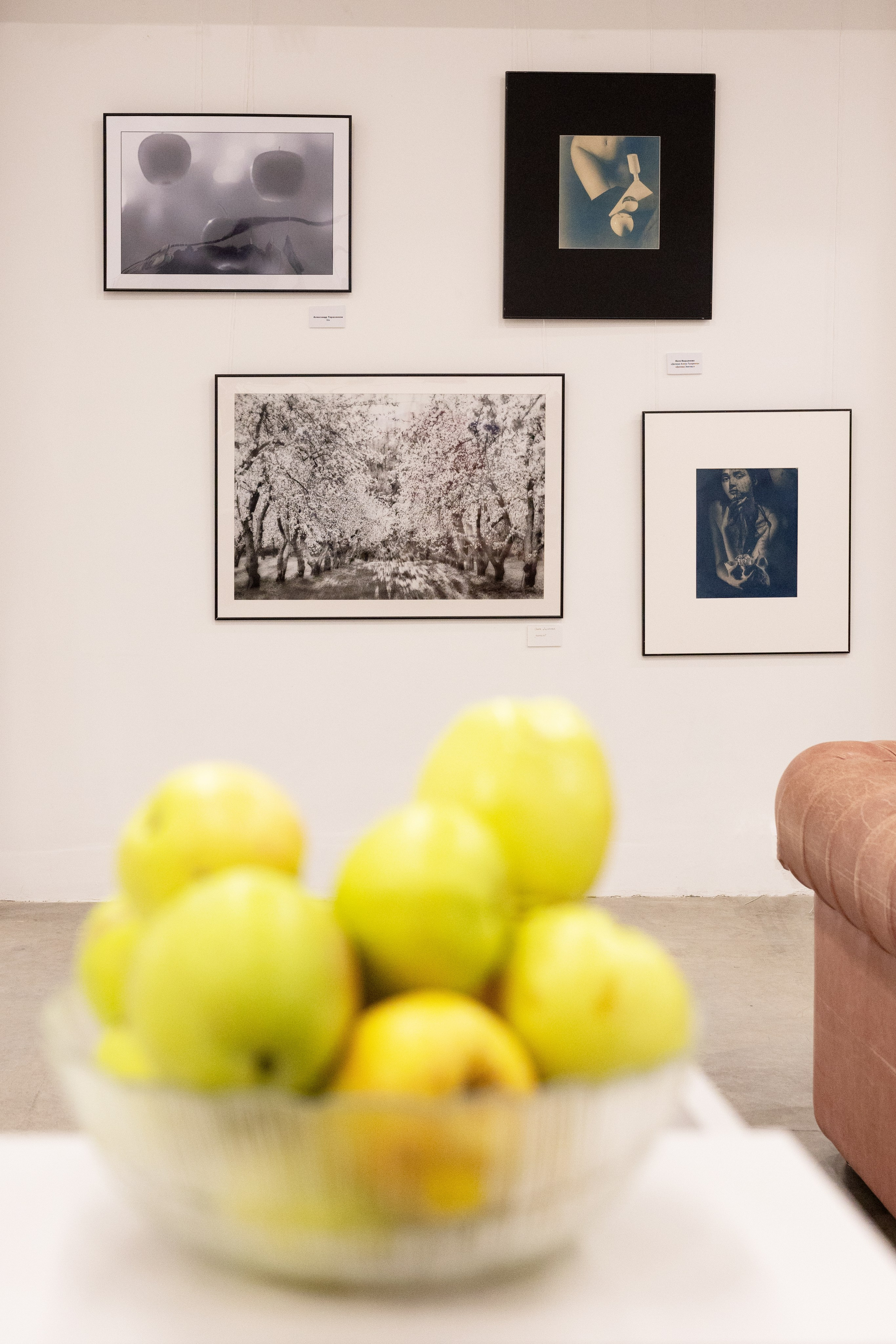 ФотоТОП. Яблоко. Фотограф Ольга Дунаева