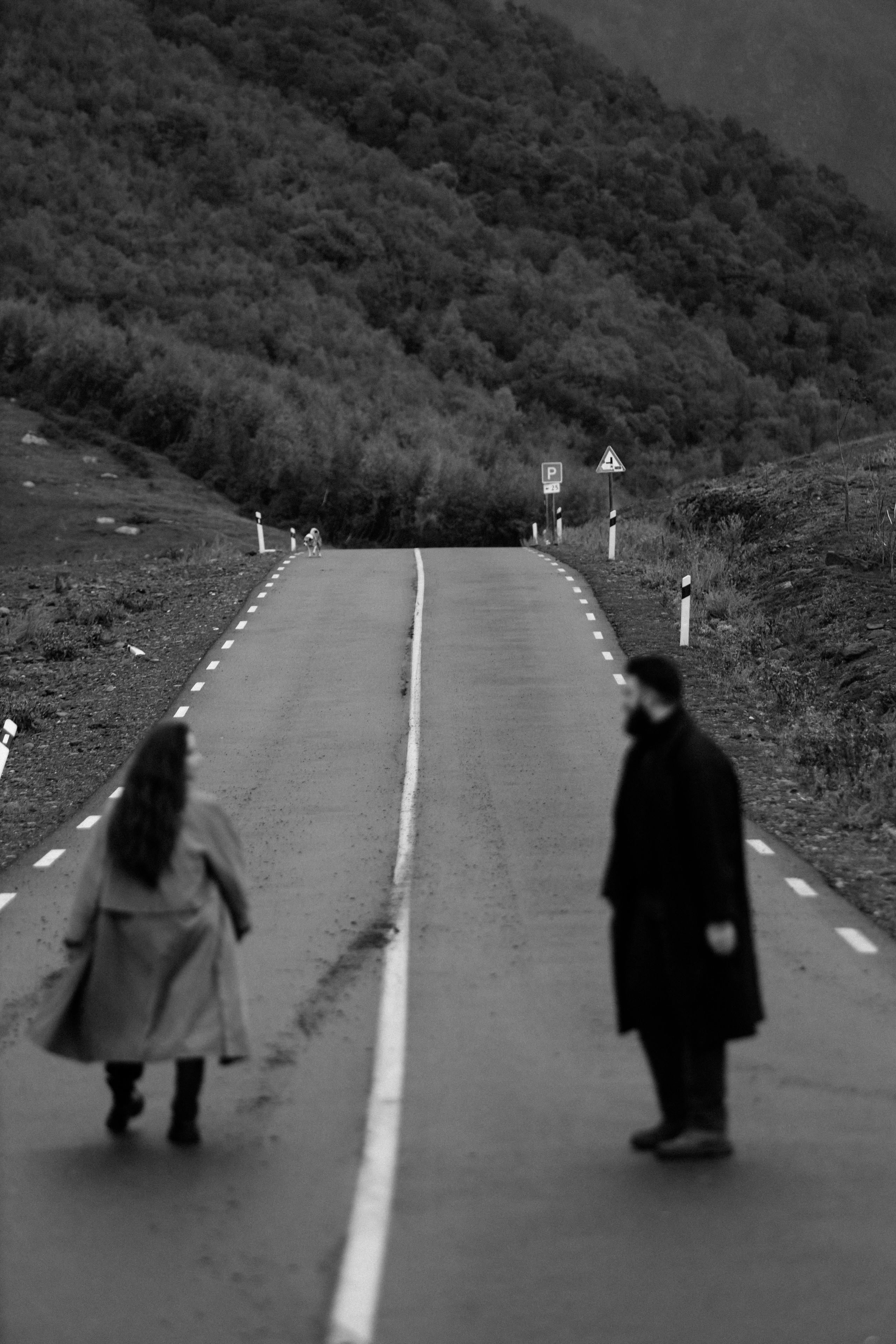 Контакты. Портфолио