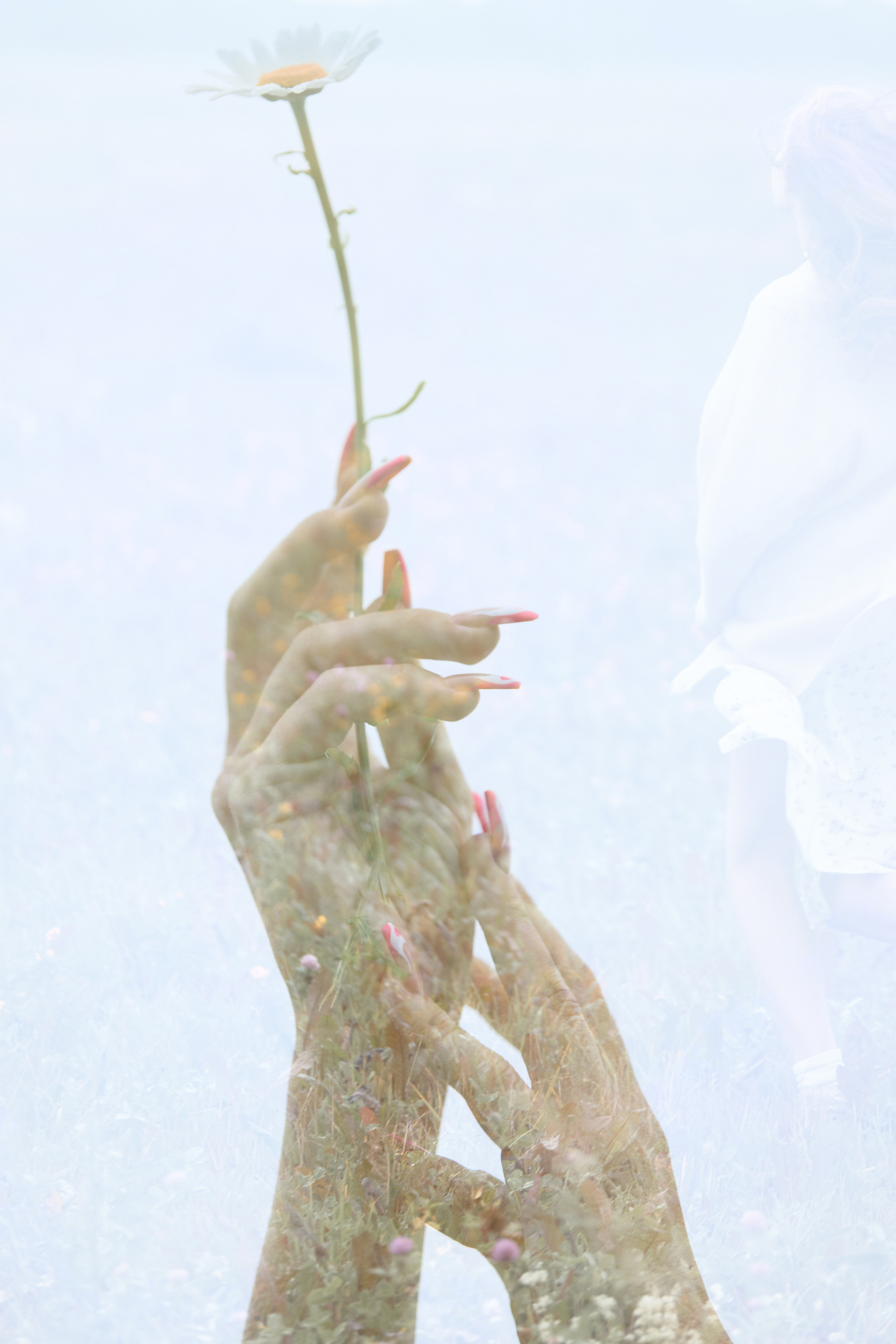 Окраина Царского Села, Соболевская дорога. FOTOFAQ SKOOL г. Санкт-Петербург: очные, дистанционные и онлайн курсы фотографии