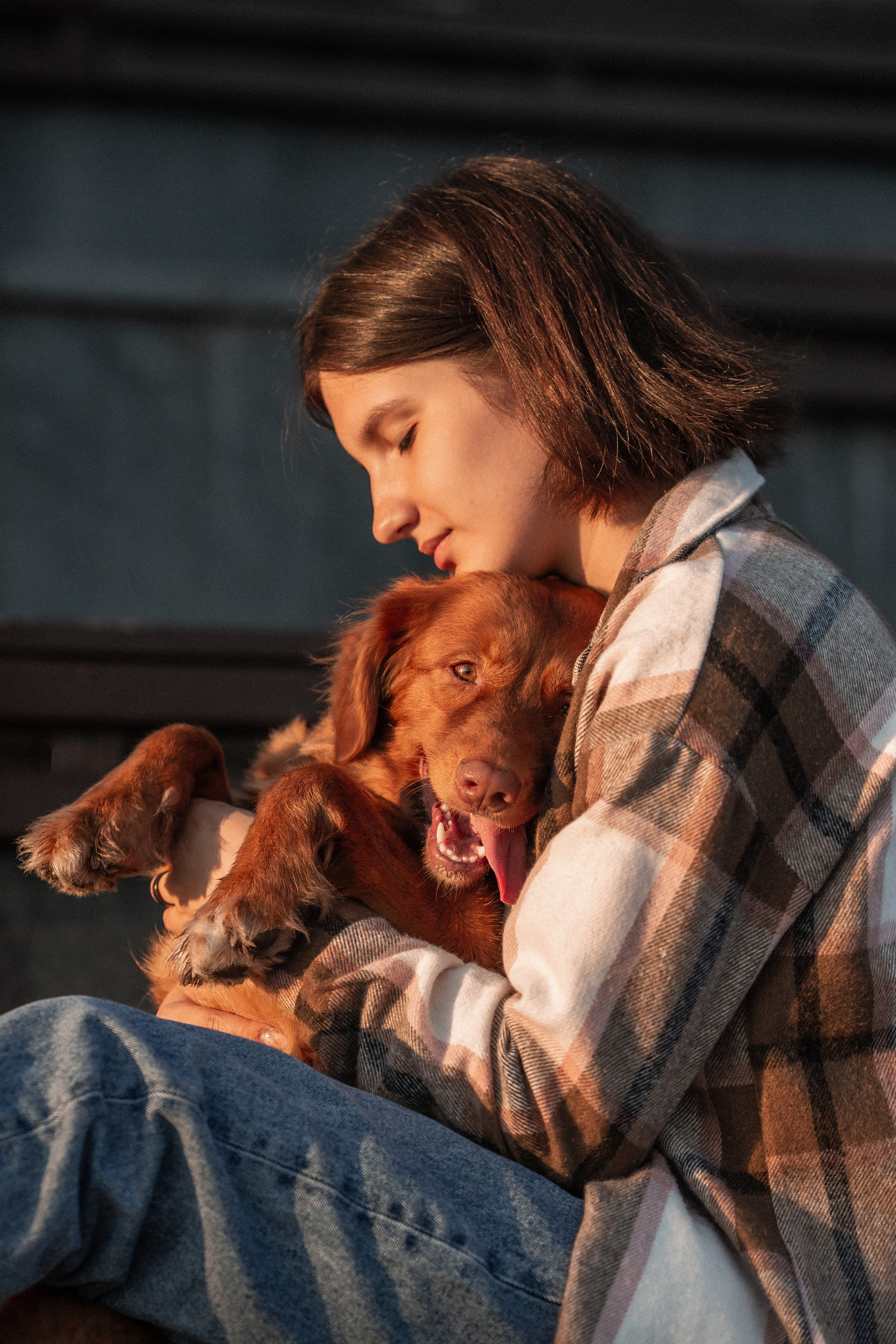 Прайс. Фотограф Анималист в Перми Анастасия Остерман