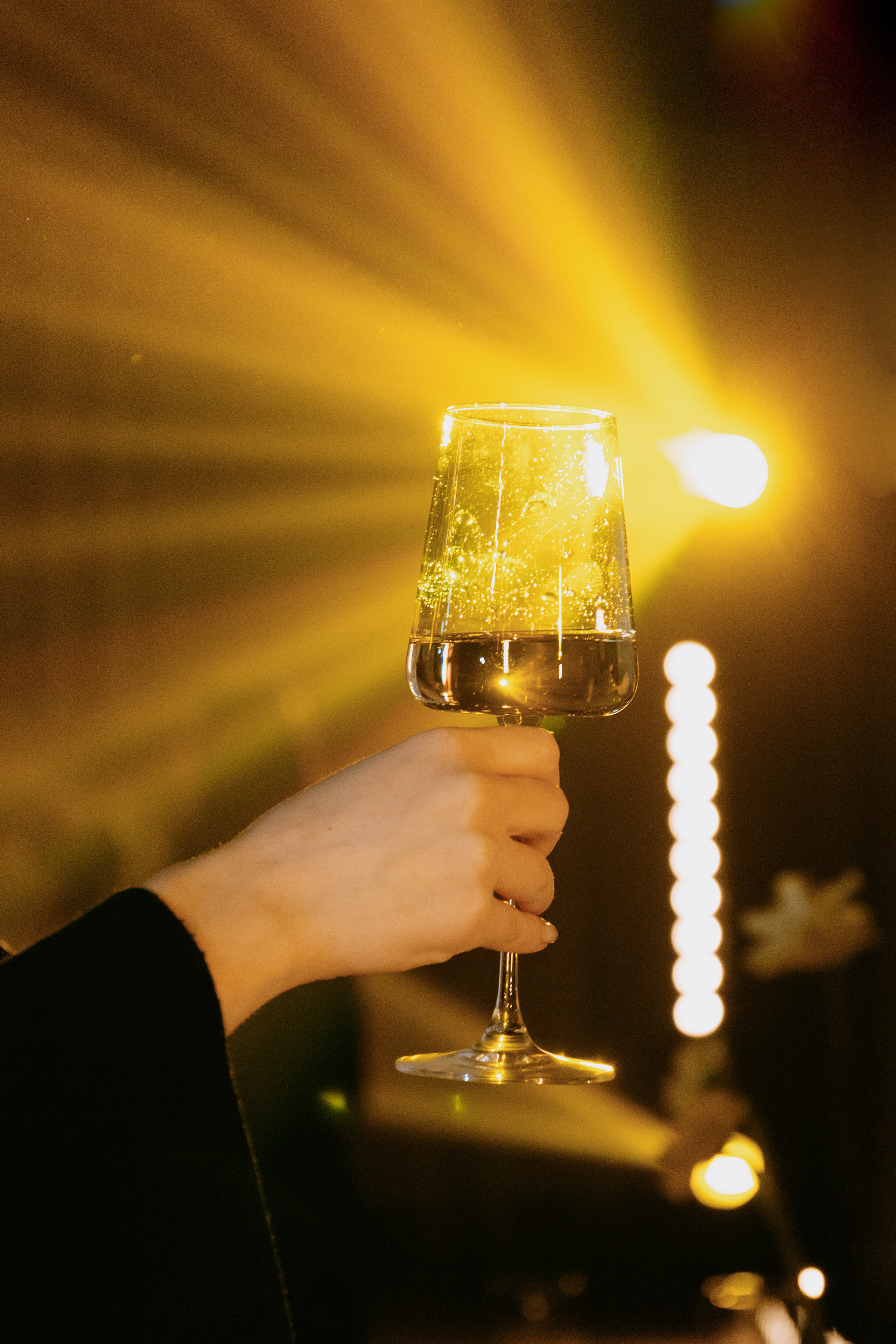 SACHA I GELYA. Свадебный и портретный фотограф