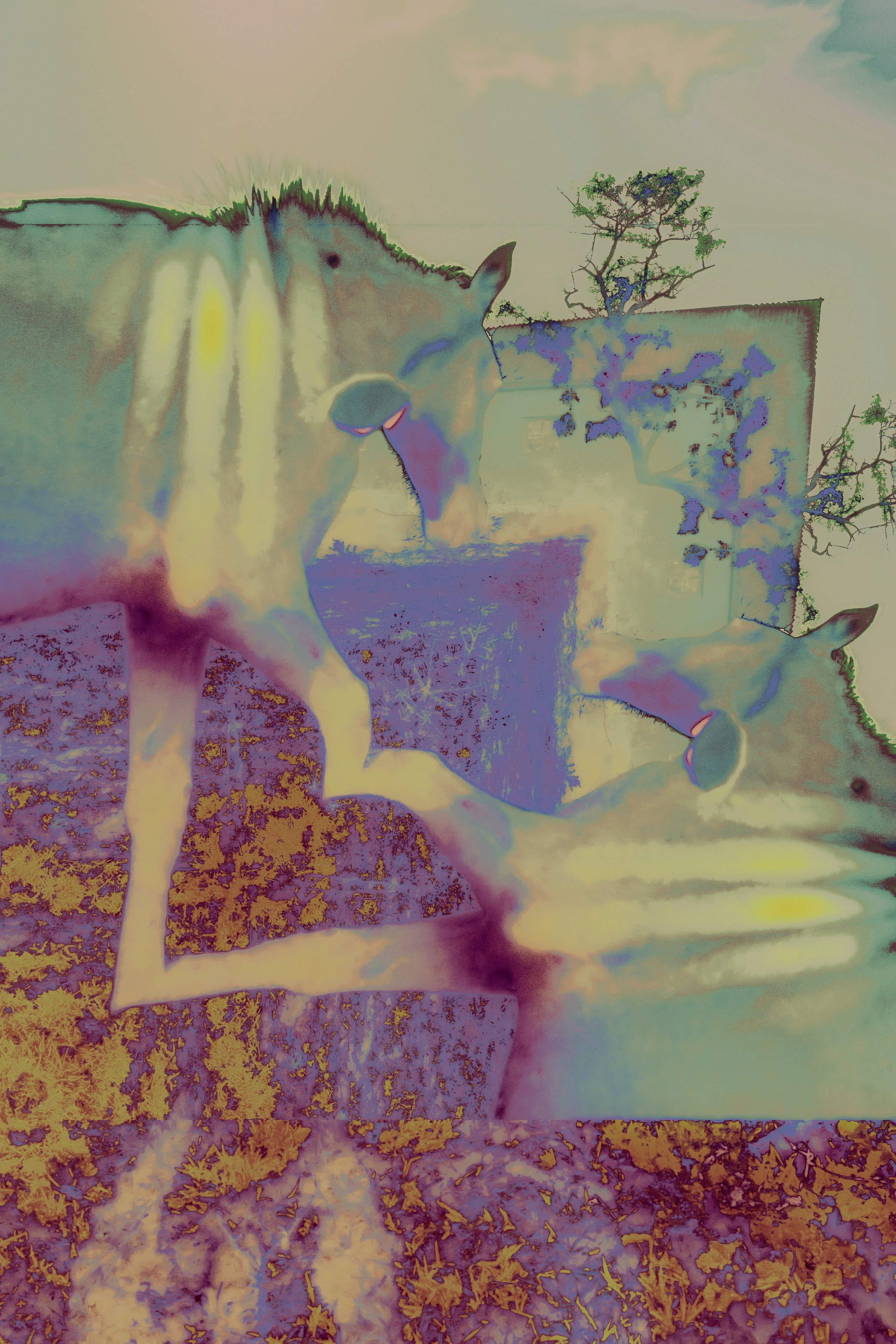 ХРАНИТЕЛИ. Визуальный артист Наташа Солнцева