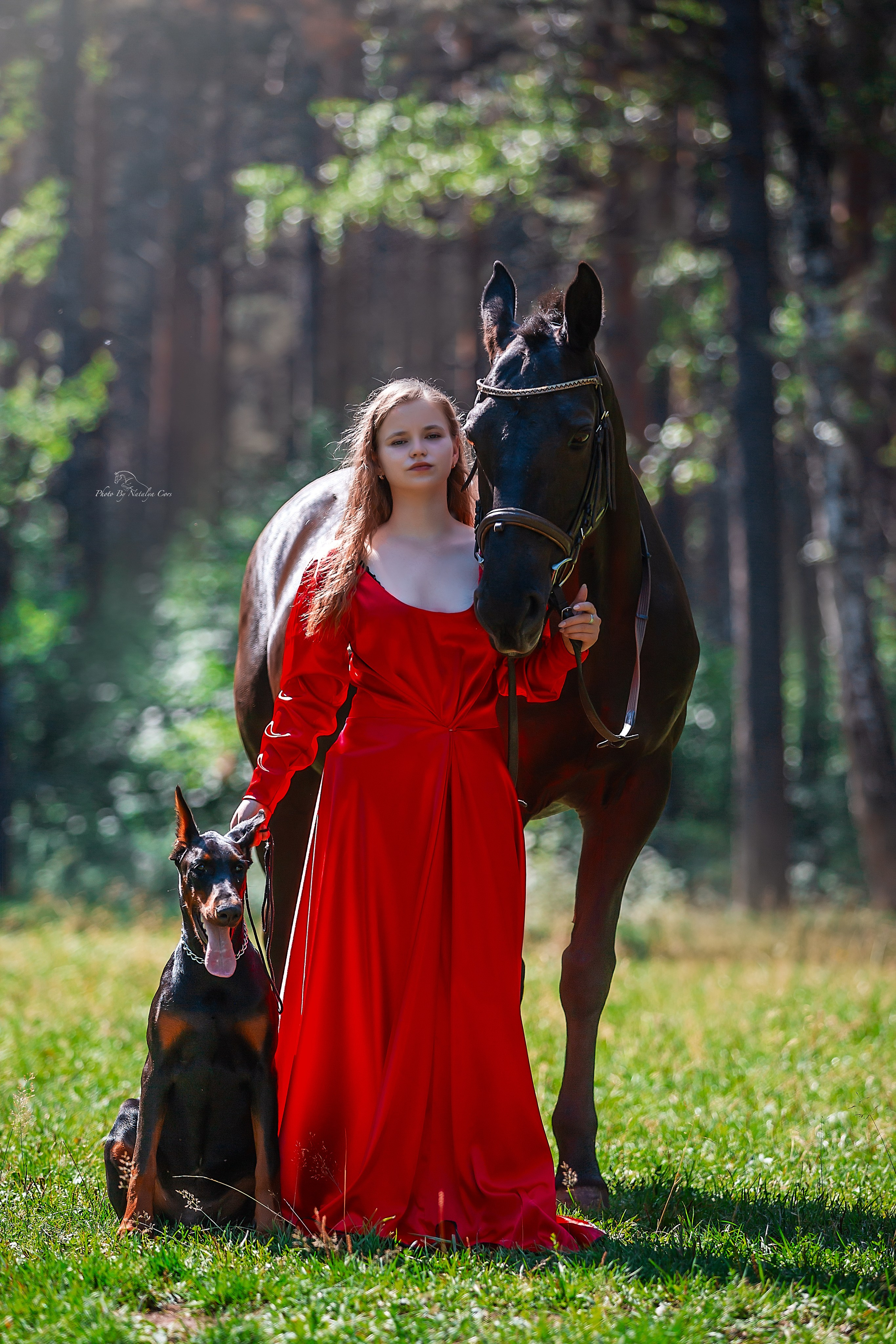 Фотосессия с лошадью, Фото с лошадью, конный фотограф екатеринбург,  заказать фотосессию с лошадью, фотосессия, Фотограф Екатеринбург, Фотограф Анималист, Фотограф анималист Екатеринбург