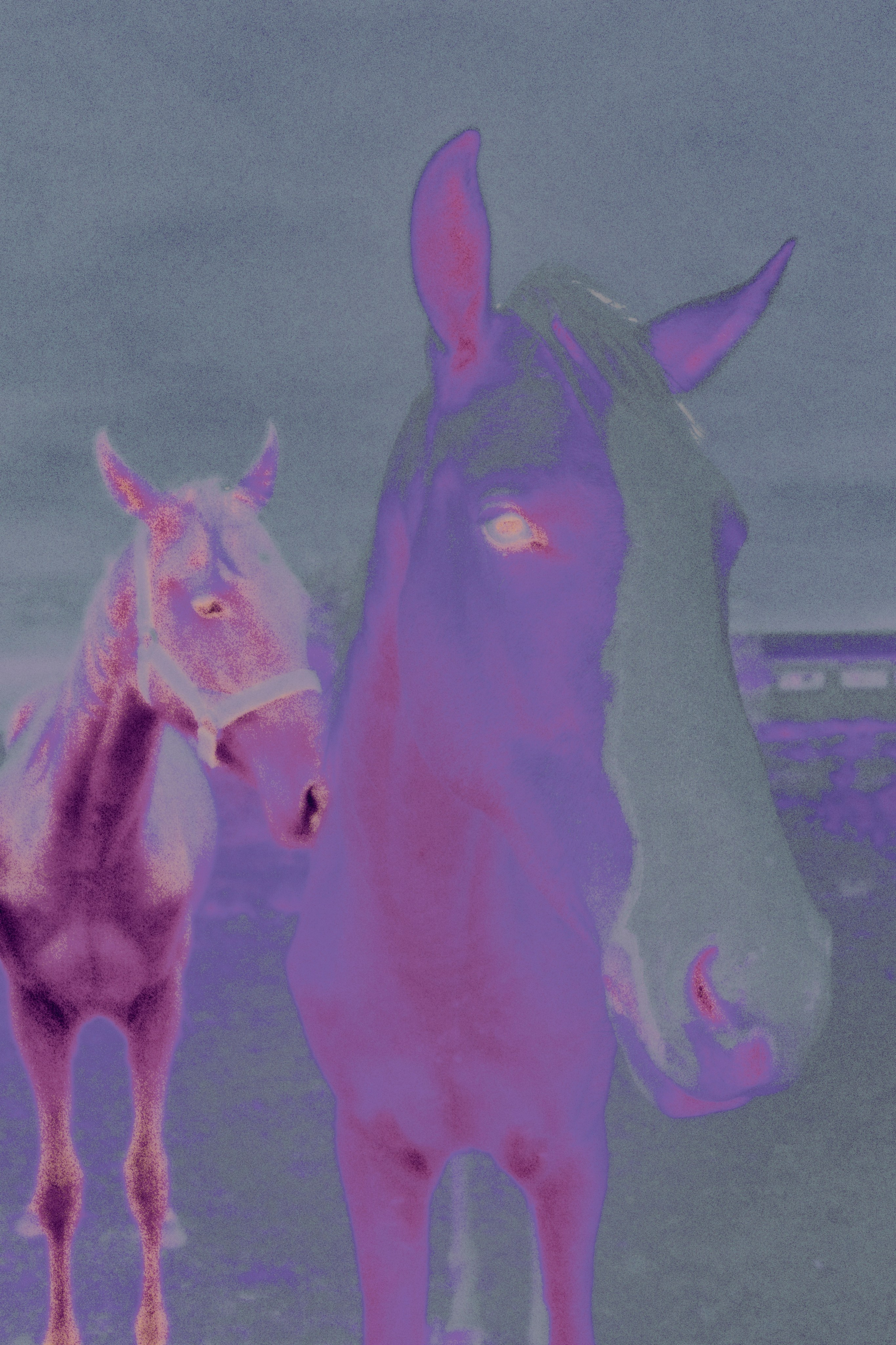 ХРАНИТЕЛИ. Визуальный артист Наташа Солнцева