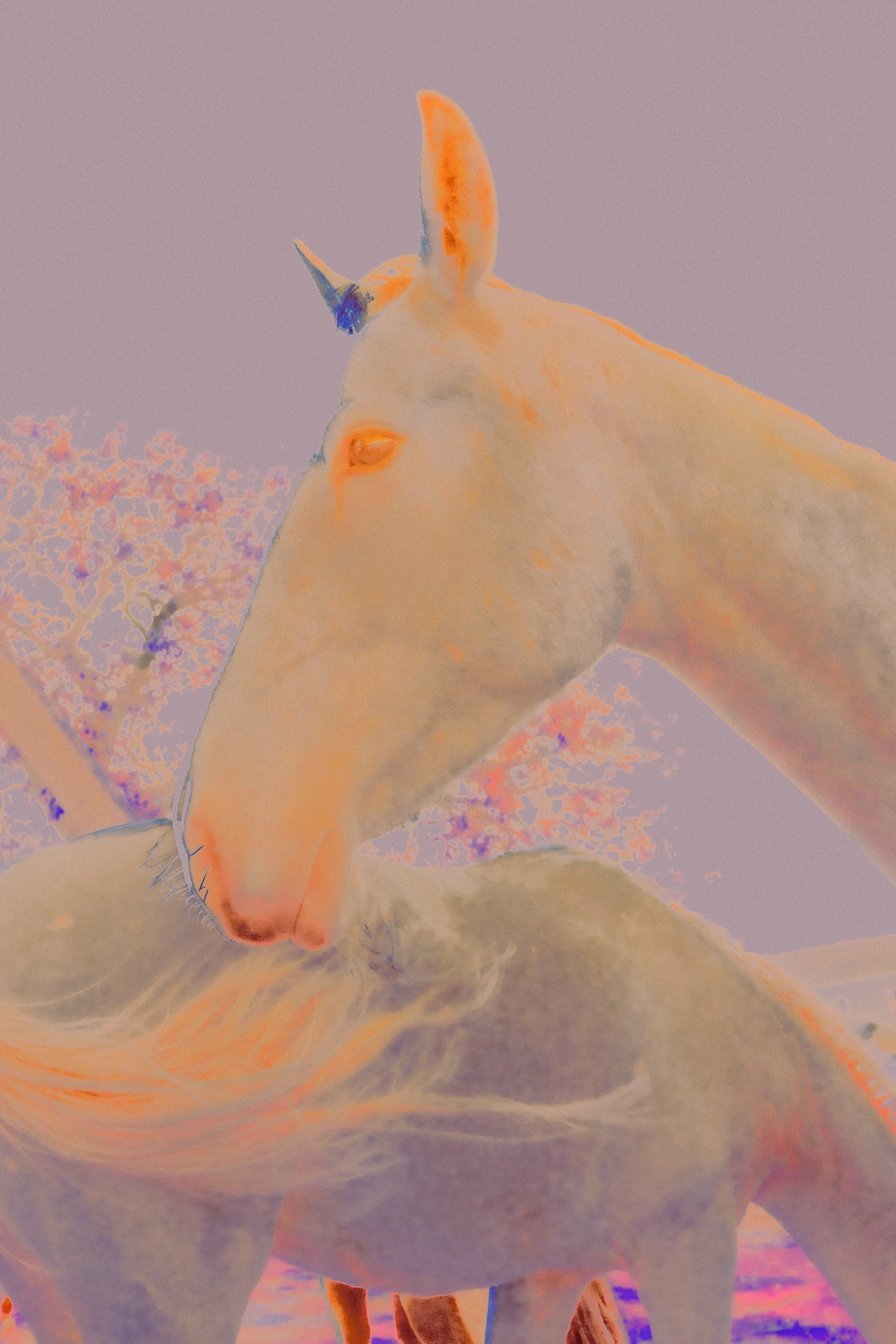 ХРАНИТЕЛИ. Фотограф, визуальный артист Наташа Солнцева, Москва