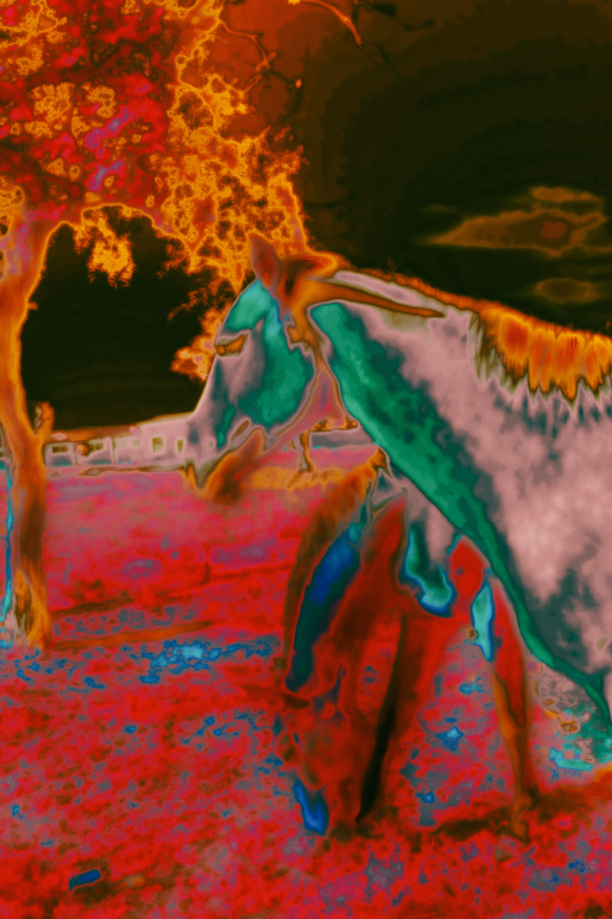 ХРАНИТЕЛИ. Визуальный артист Наташа Солнцева