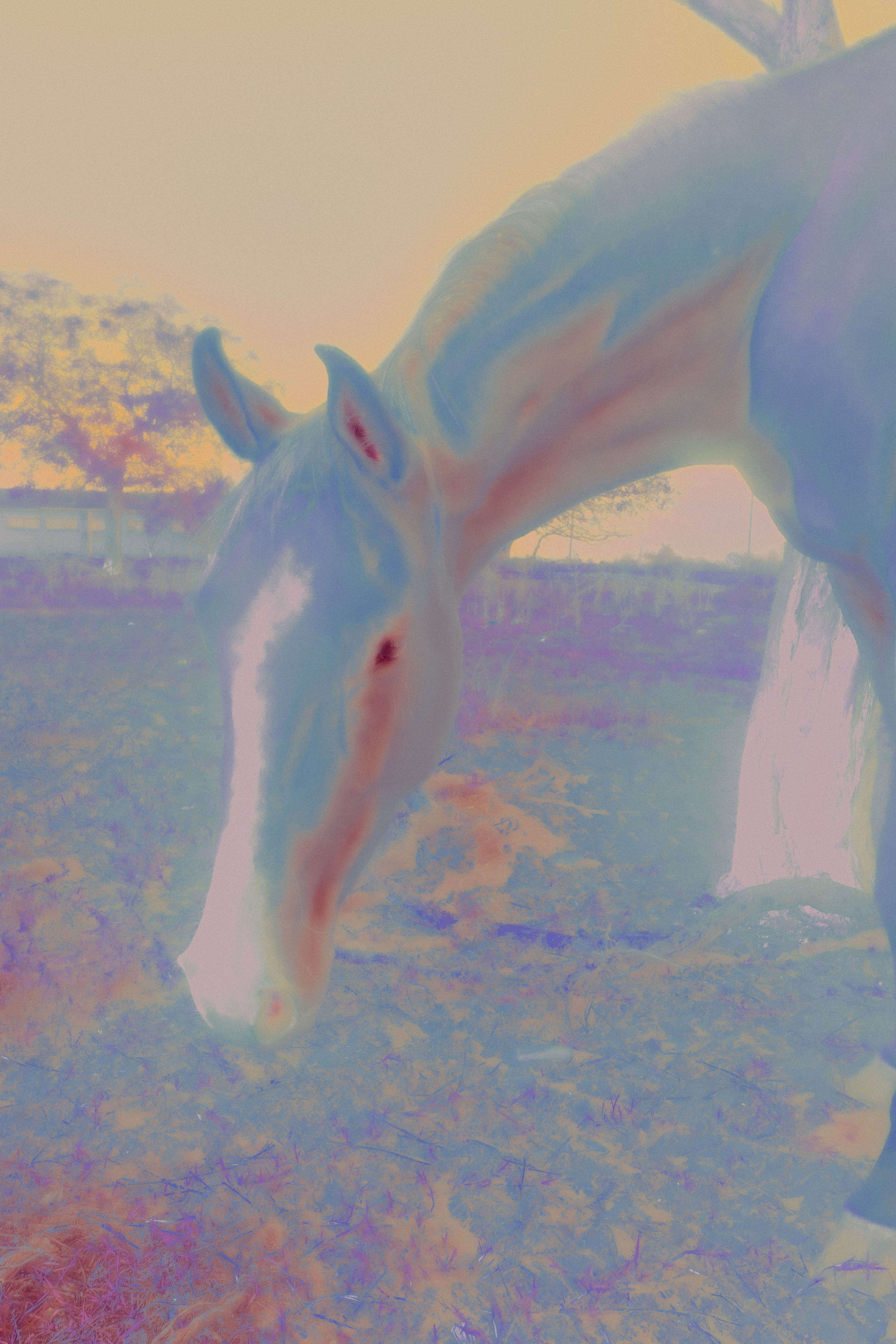 ХРАНИТЕЛИ. Визуальный артист Наташа Солнцева