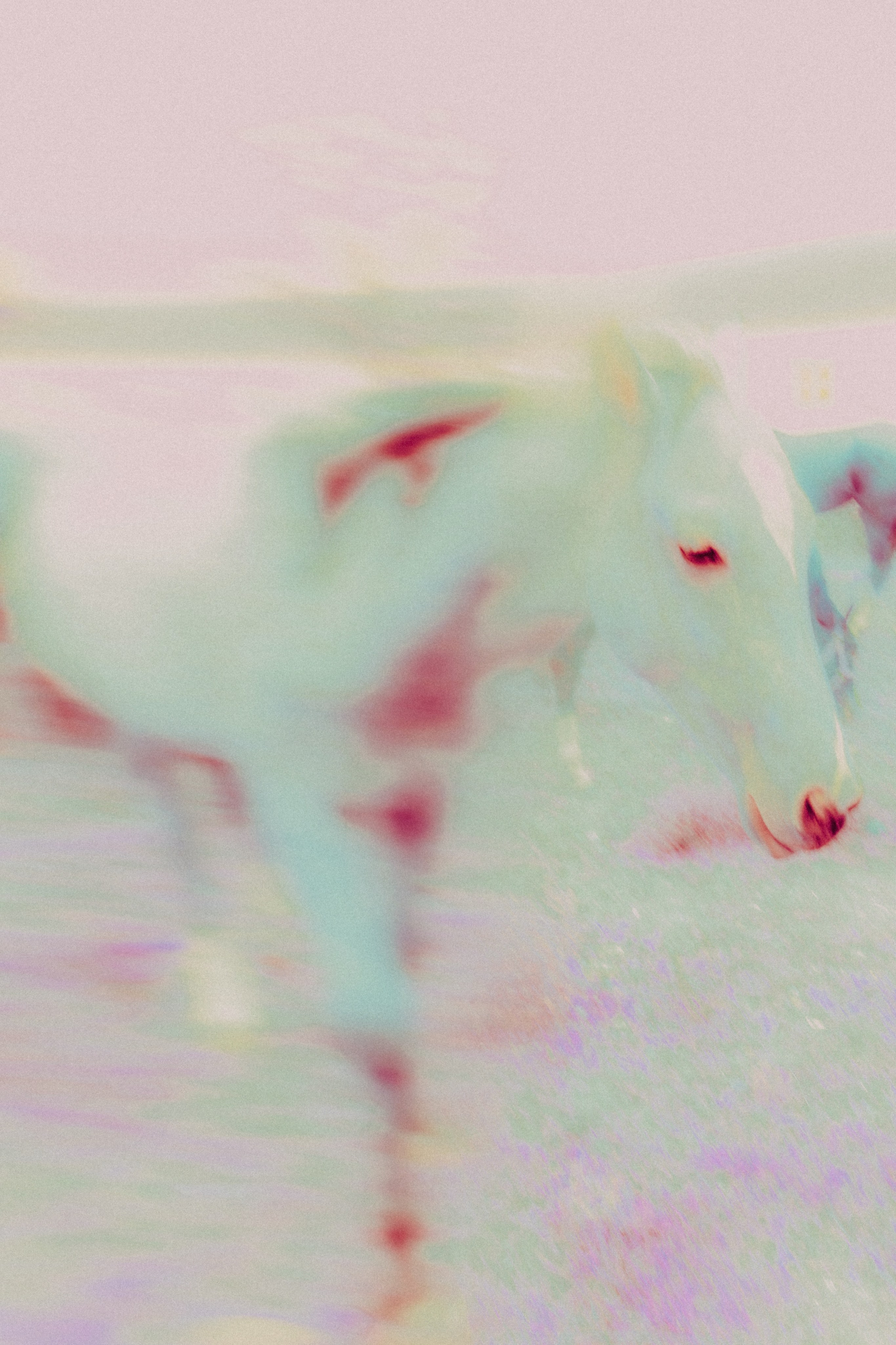 ХРАНИТЕЛИ. Визуальный артист Наташа Солнцева