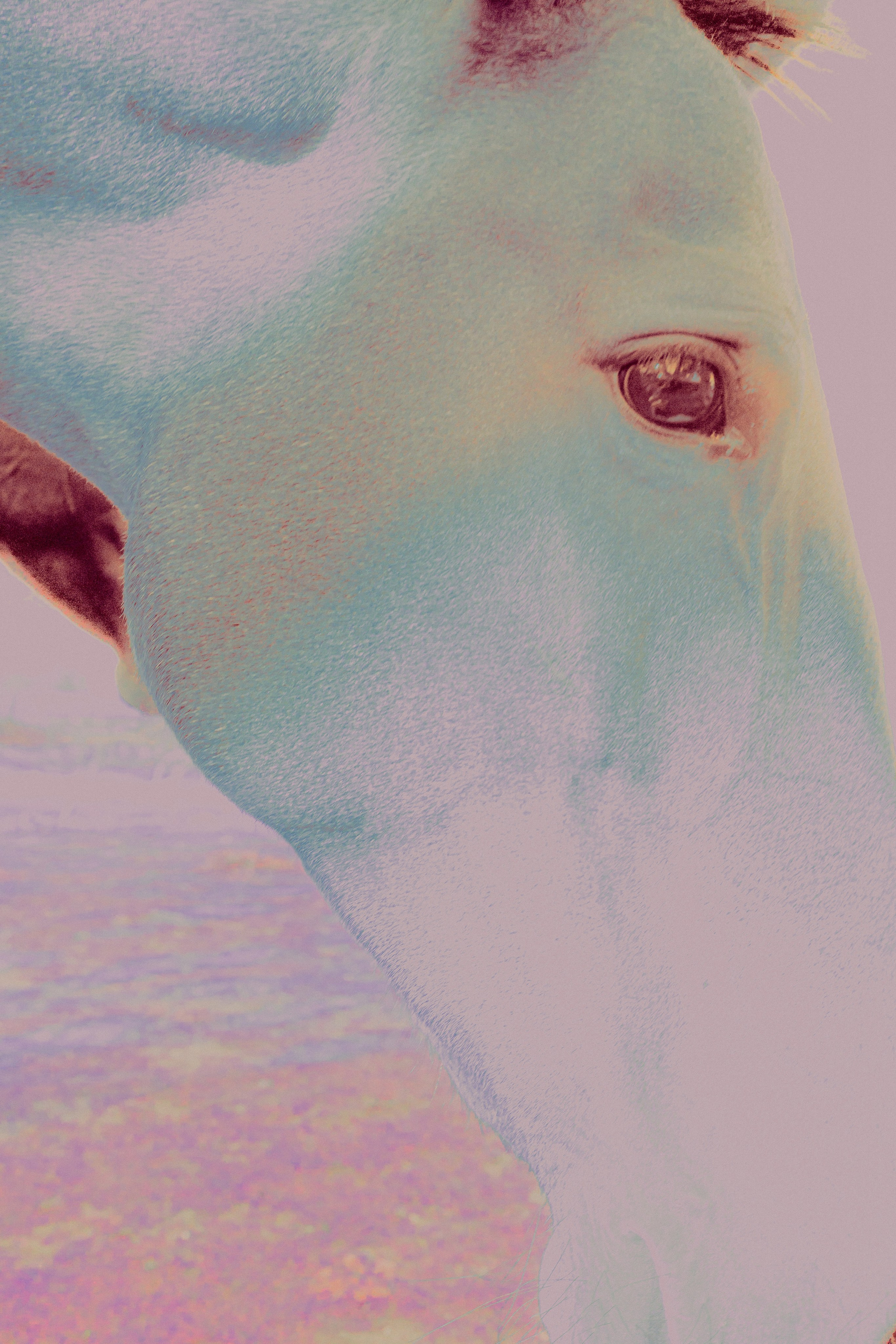 ХРАНИТЕЛИ. Визуальный артист Наташа Солнцева