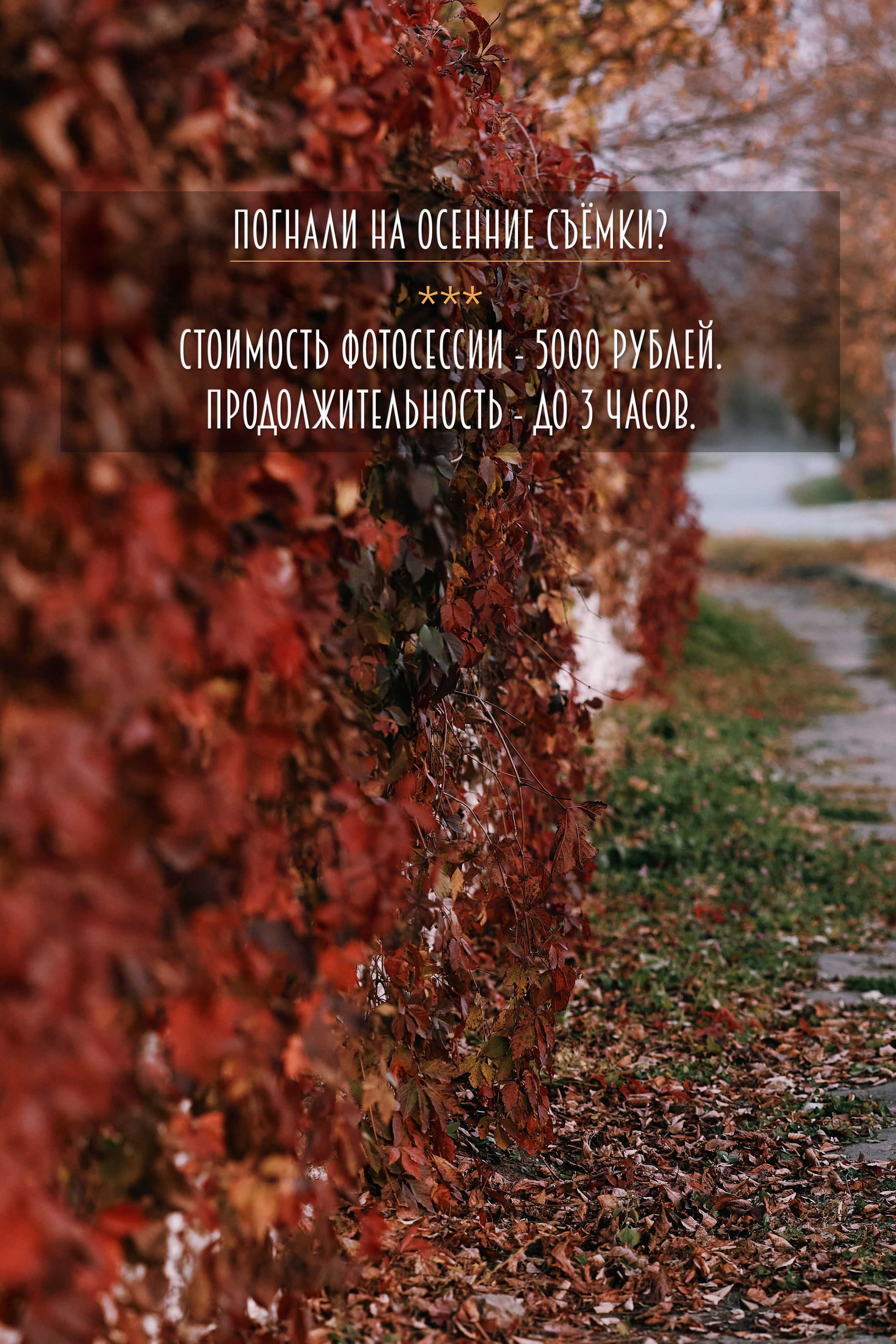 Запись на осенние съёмки в Находке и Золотой Долине в 2025 и 2026 годах