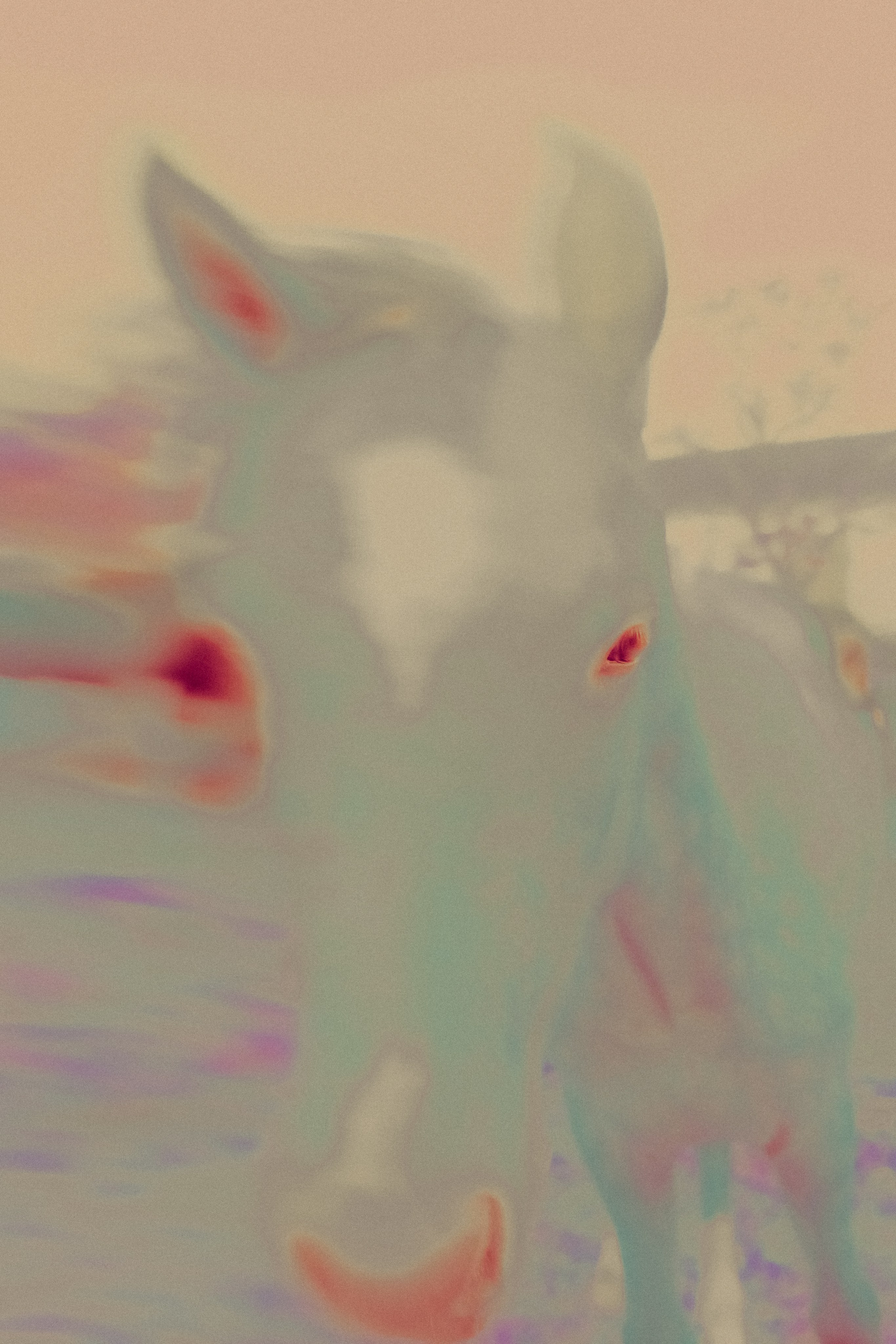 ХРАНИТЕЛИ. Фотограф, визуальный артист Наташа Солнцева, Москва