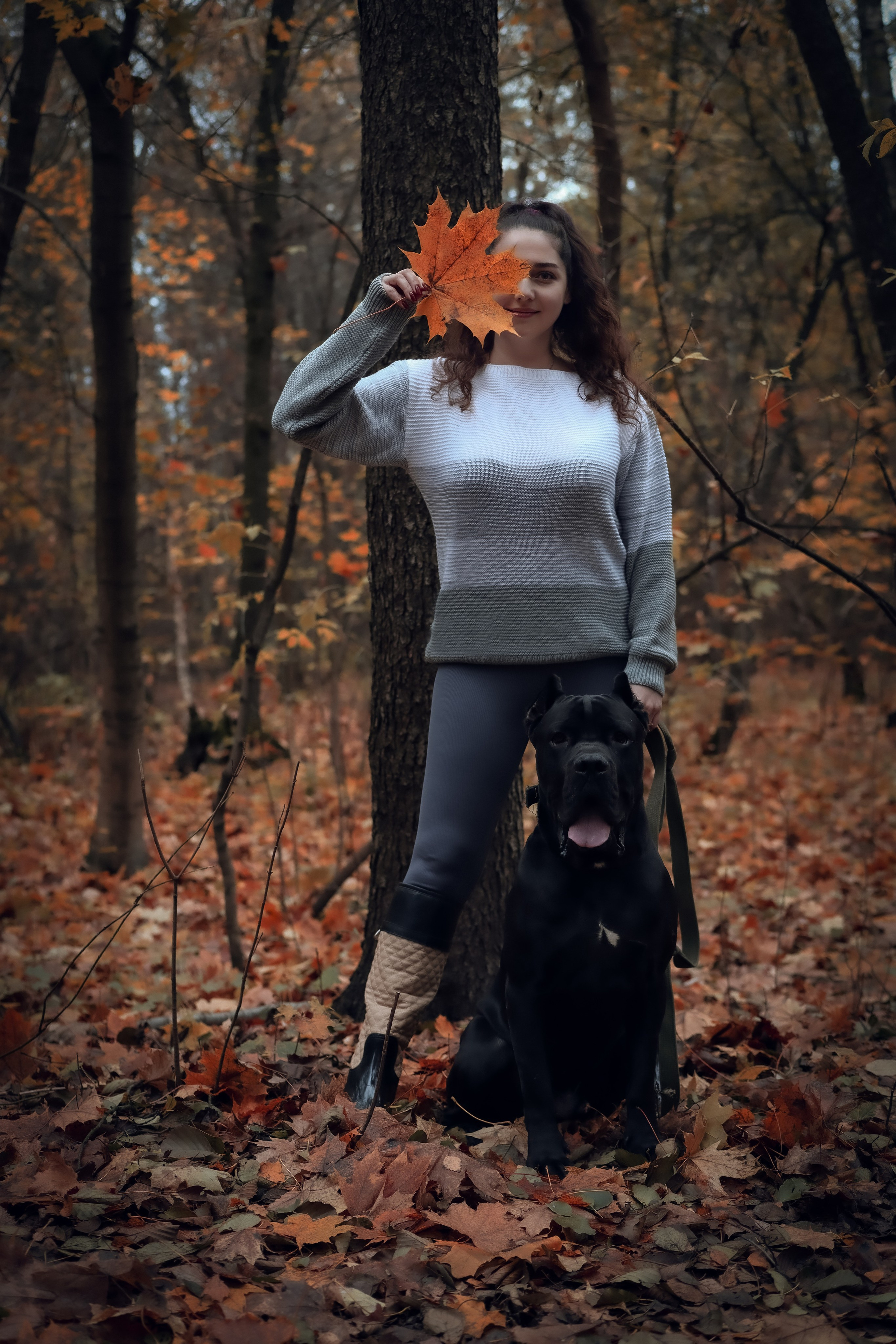 Услуги. Фотограф-анималист г. Москва