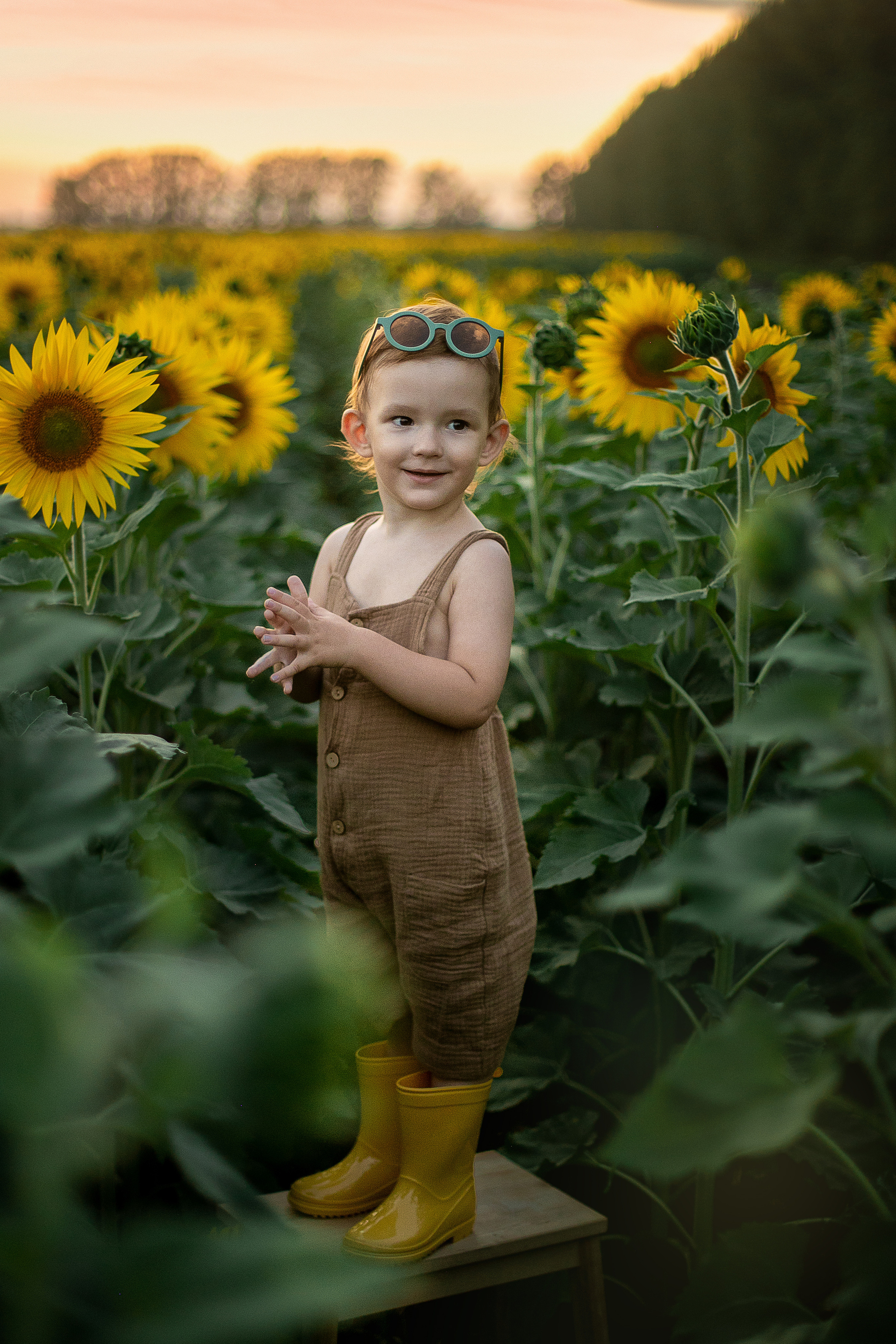 Услуги. Детский и семейный фотограф в Стерлитамаке Миронова Юлия