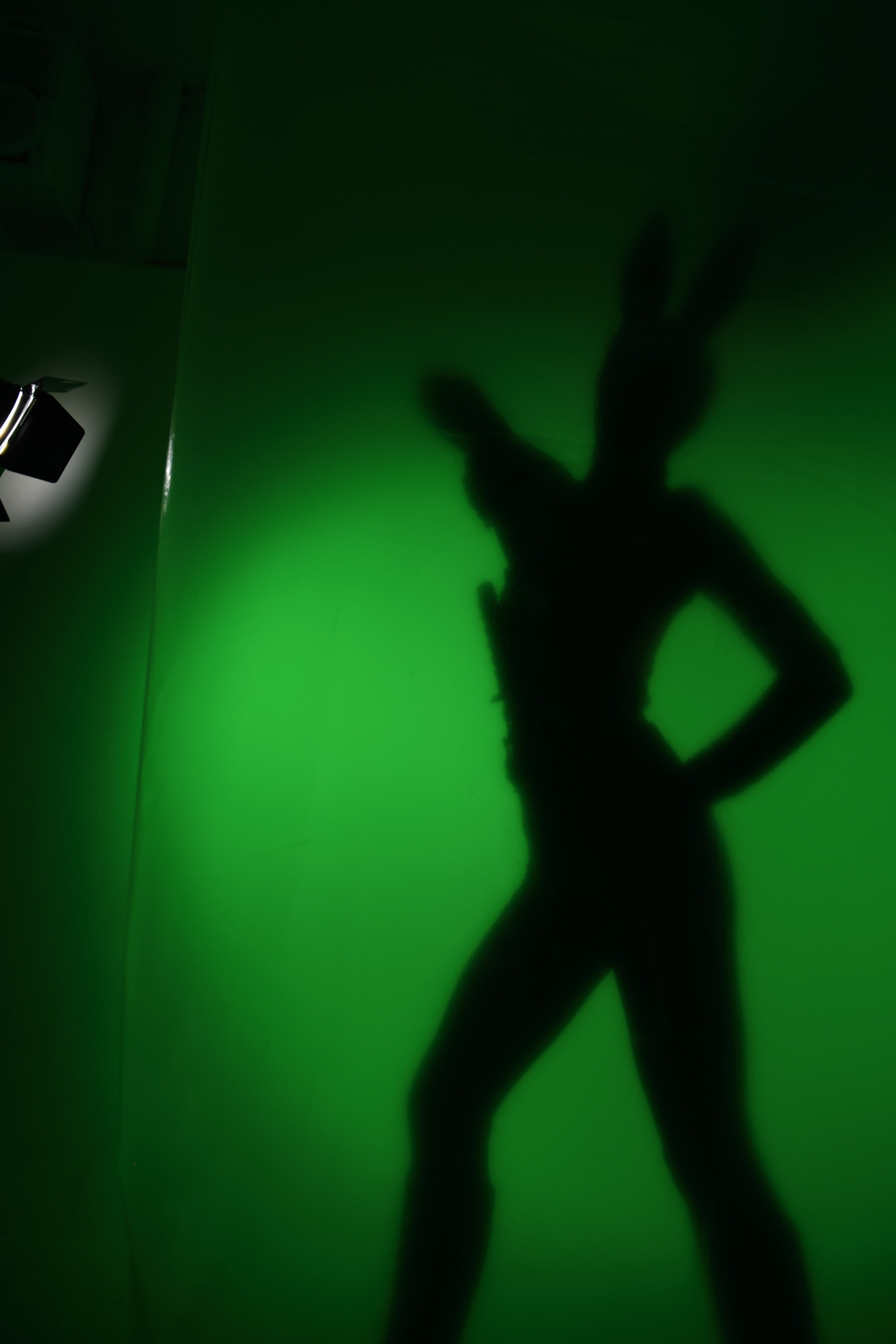 THE MAD RABBIT. Yulia Yurchevskaya | Art Director & Visual Visionary