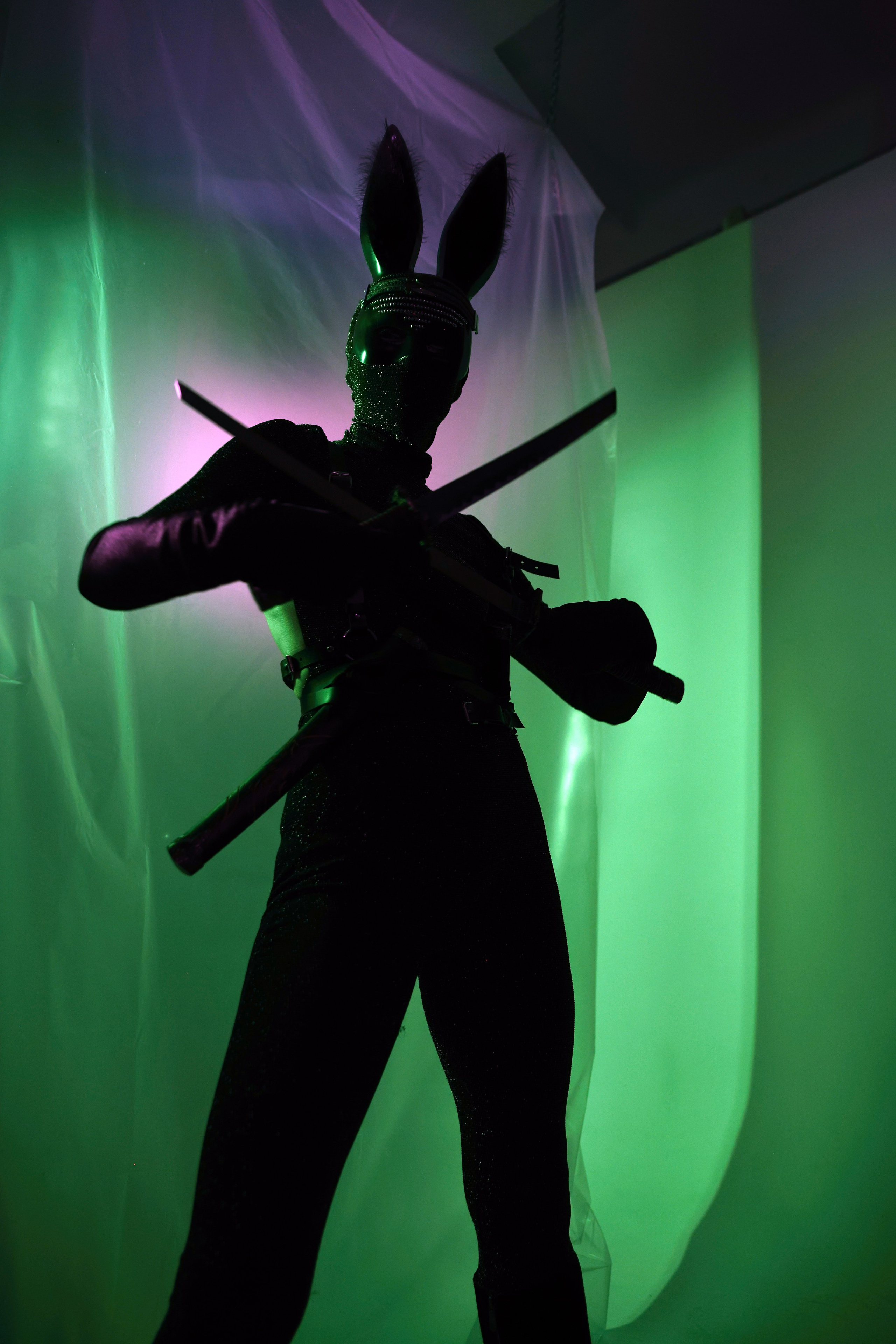 THE MAD RABBIT. Yulia Yurchevskaya | Art Director & Visual Visionary