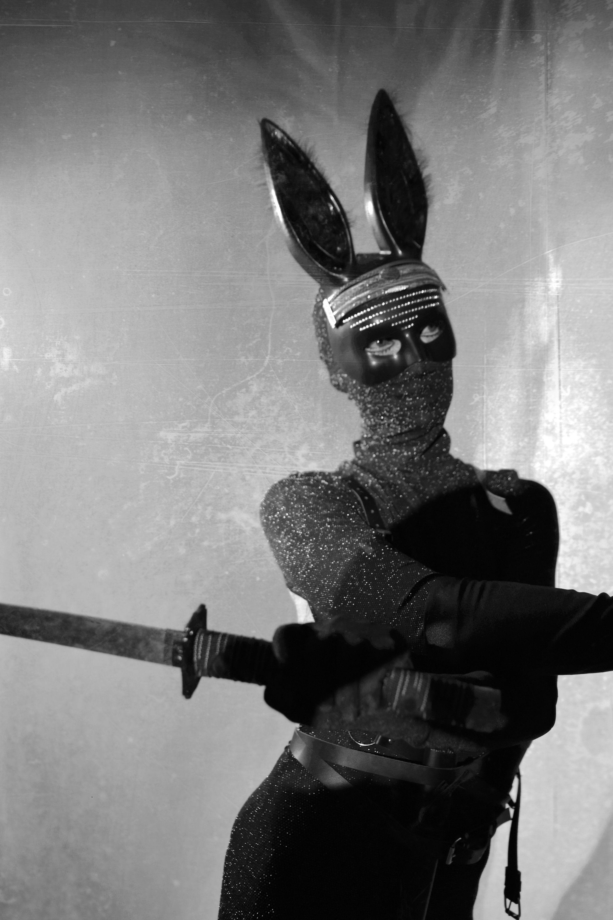 THE MAD RABBIT. Yulia Yurchevskaya | Art Director & Visual Visionary