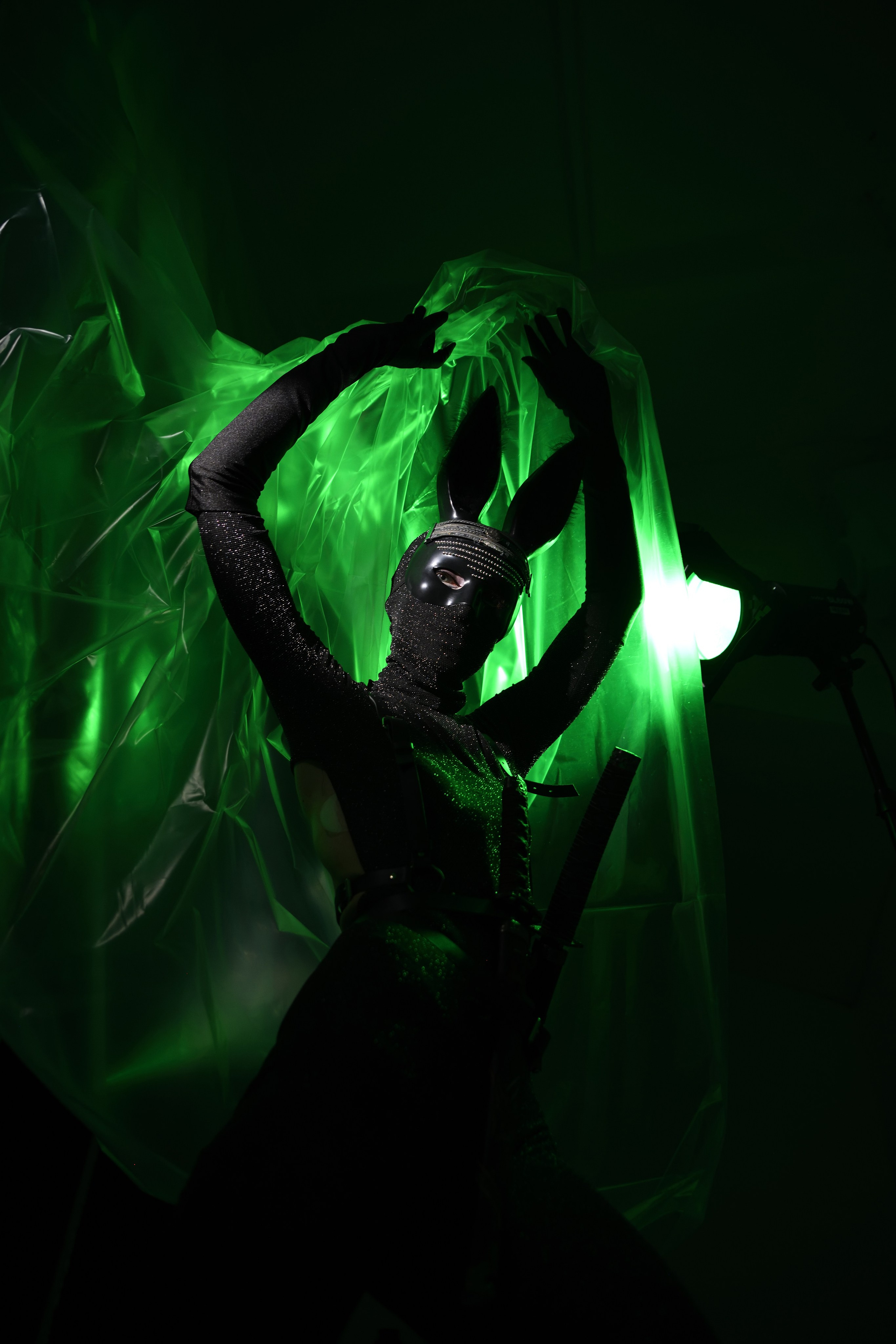 THE MAD RABBIT. Yulia Yurchevskaya | Art Director & Visual Visionary