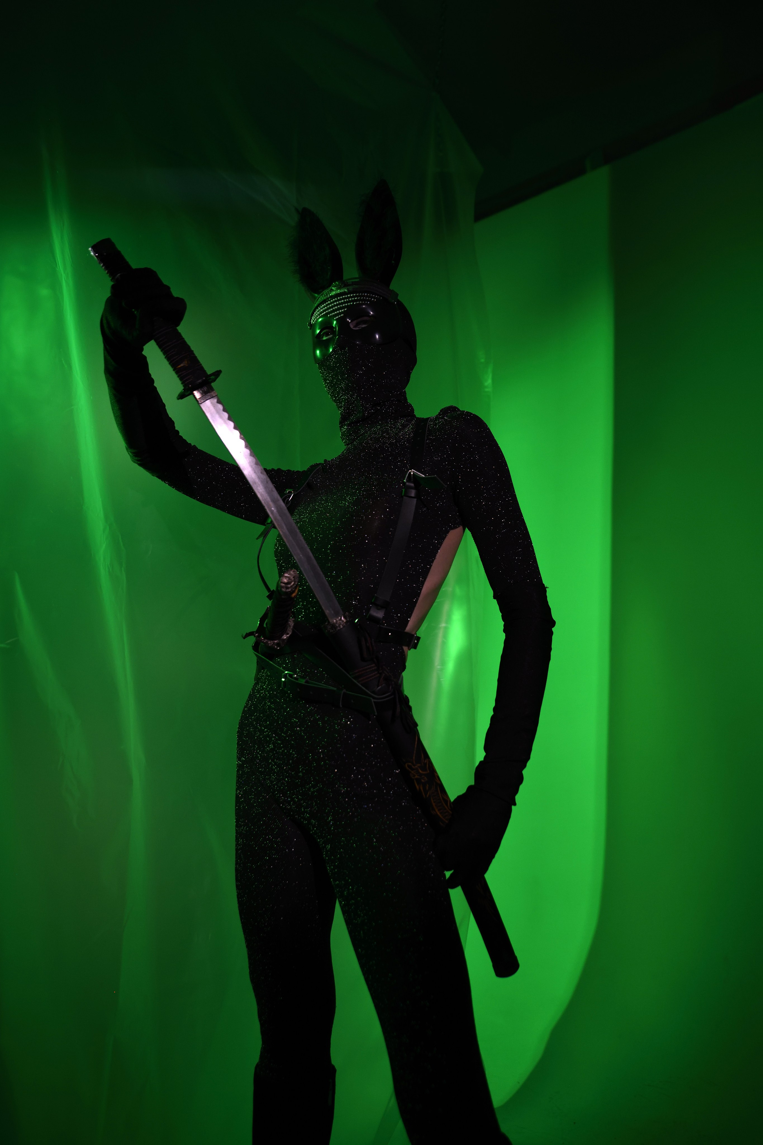 THE MAD RABBIT. Yulia Yurchevskaya | Art Director & Visual Visionary