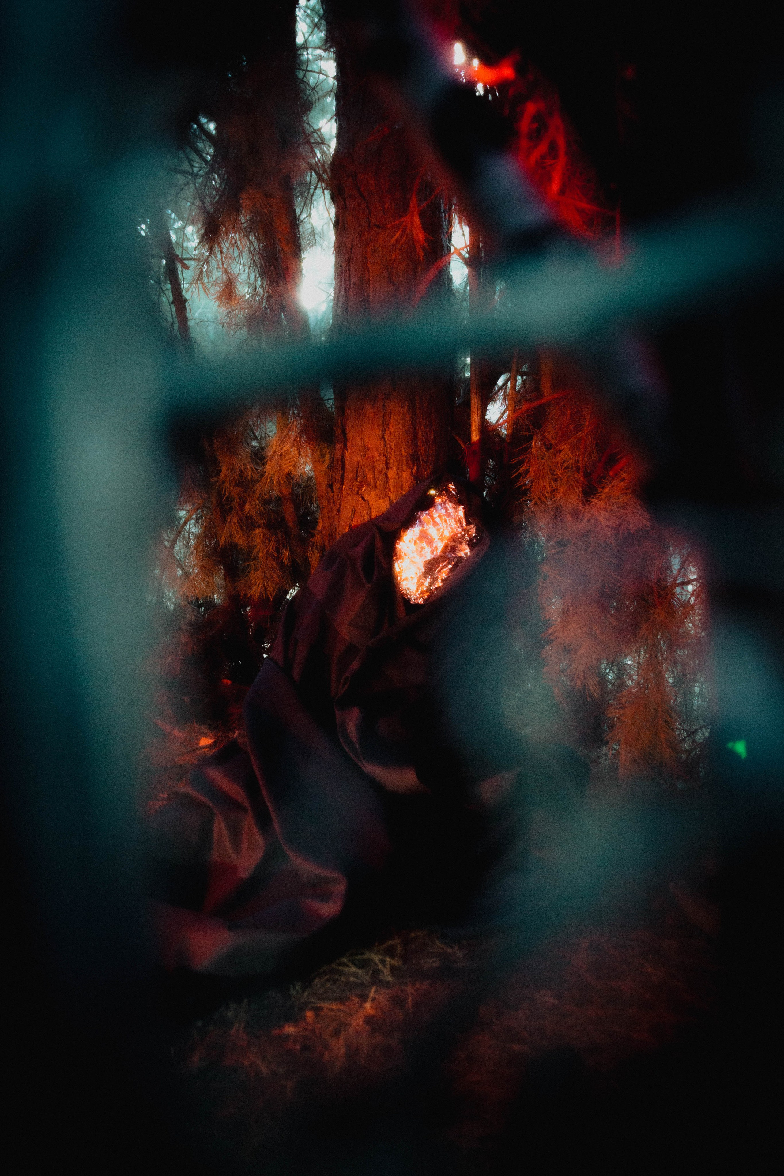 THE INORGANIC COCOON. Yulia Yurchevskaya | Art Director & Visual Visionary