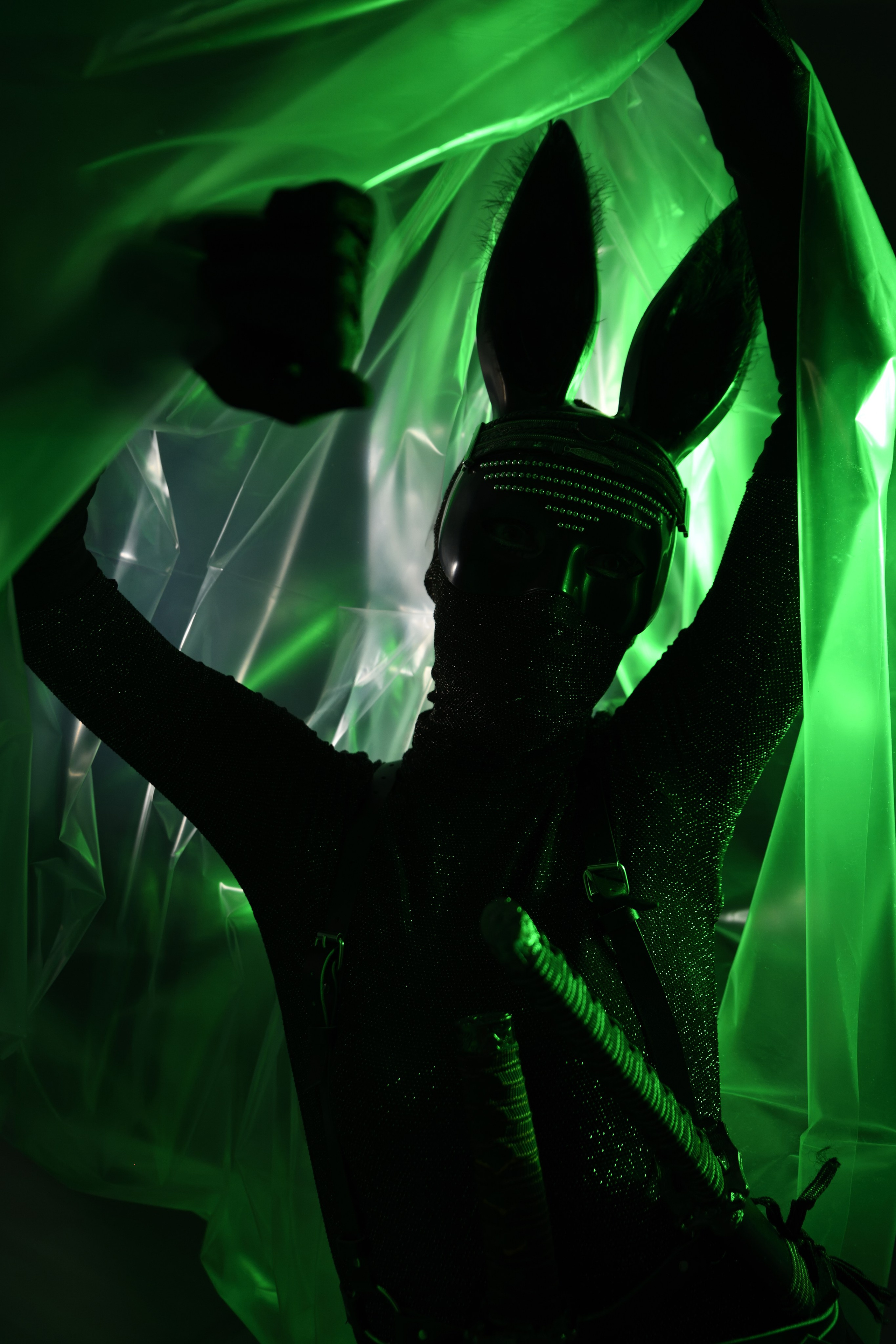 THE MAD RABBIT. Yulia Yurchevskaya | Art Director & Visual Visionary