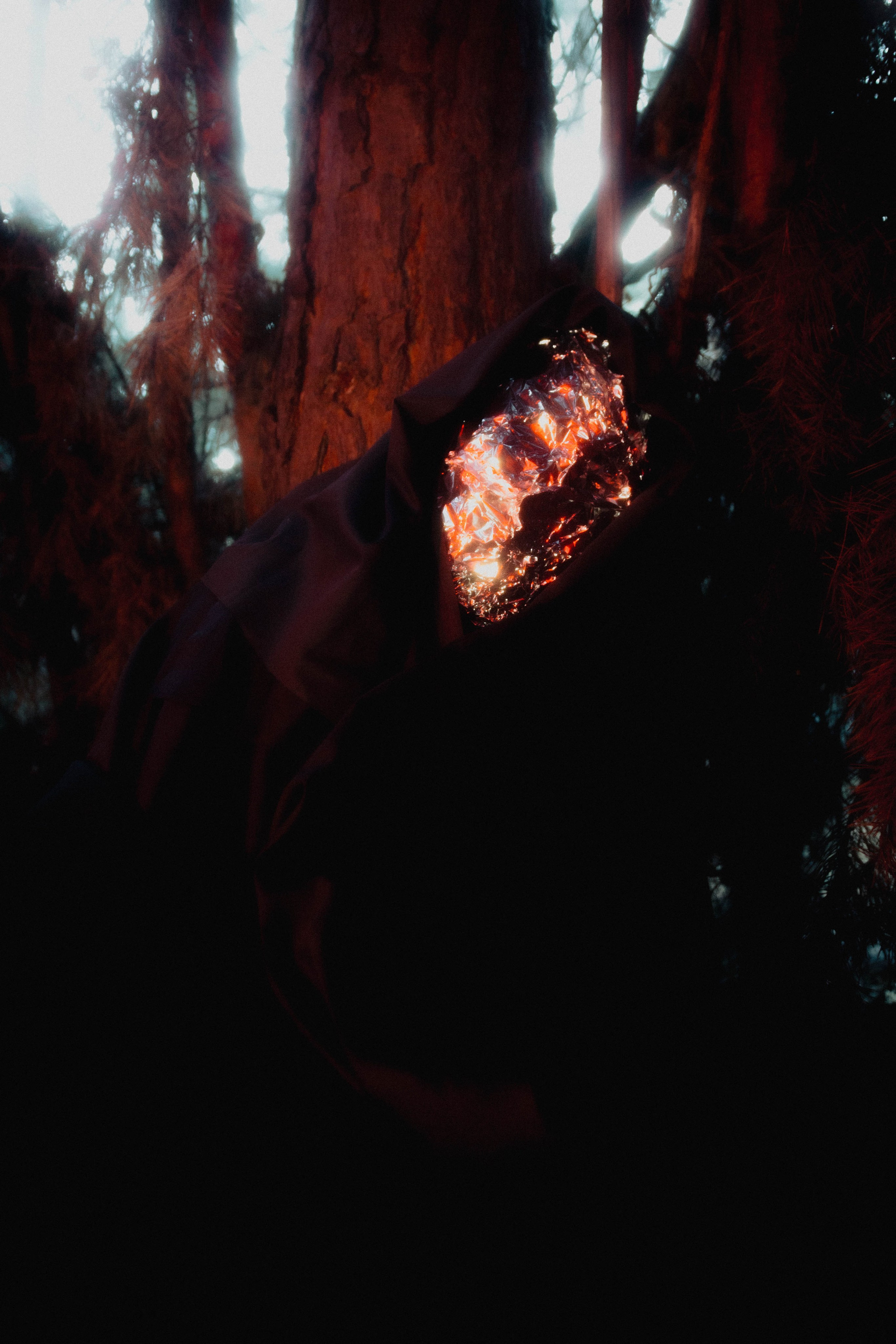 THE INORGANIC COCOON. Yulia Yurchevskaya | Art Director & Visual Visionary