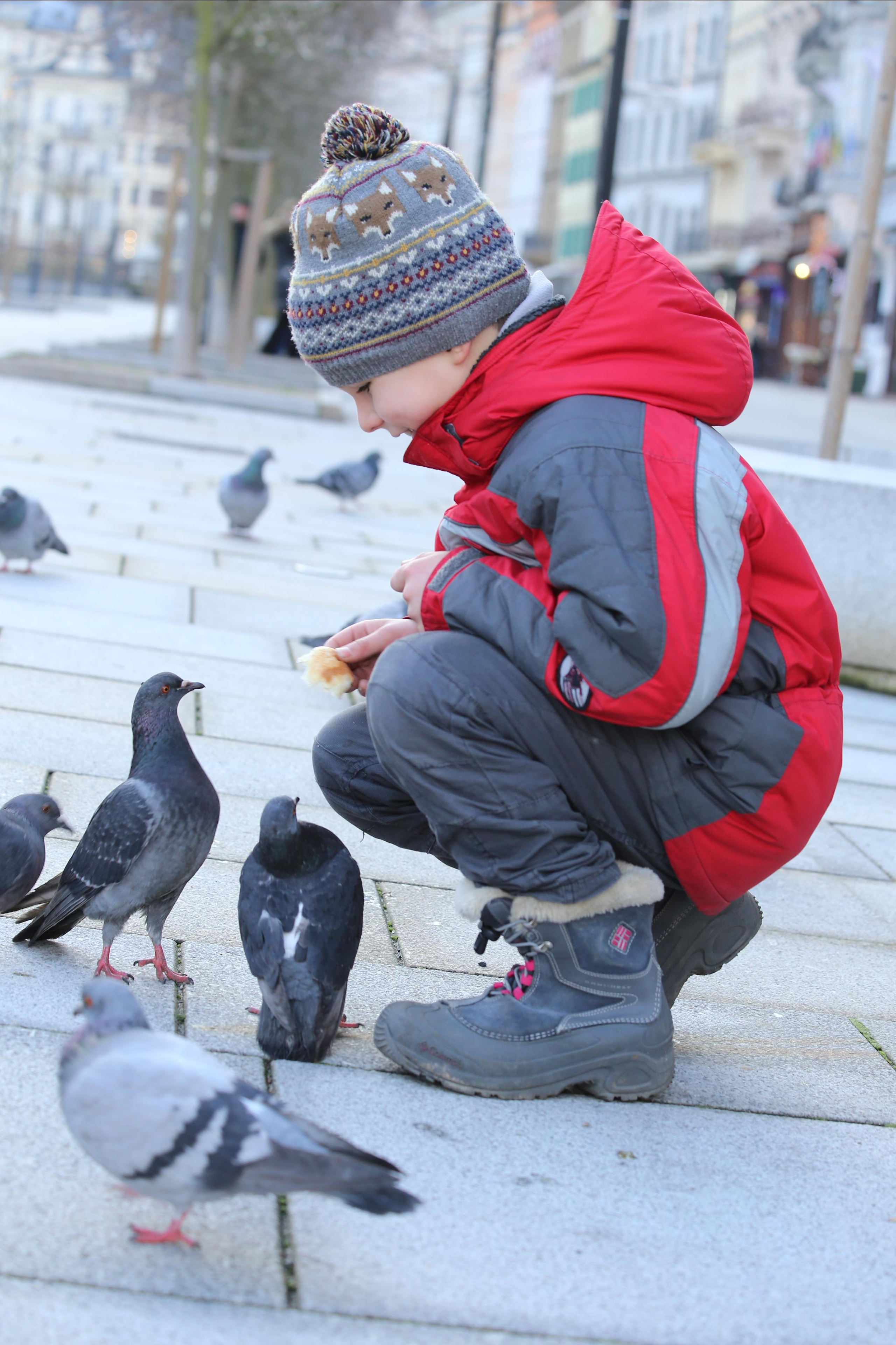 2013 — Чехия. OneSnap