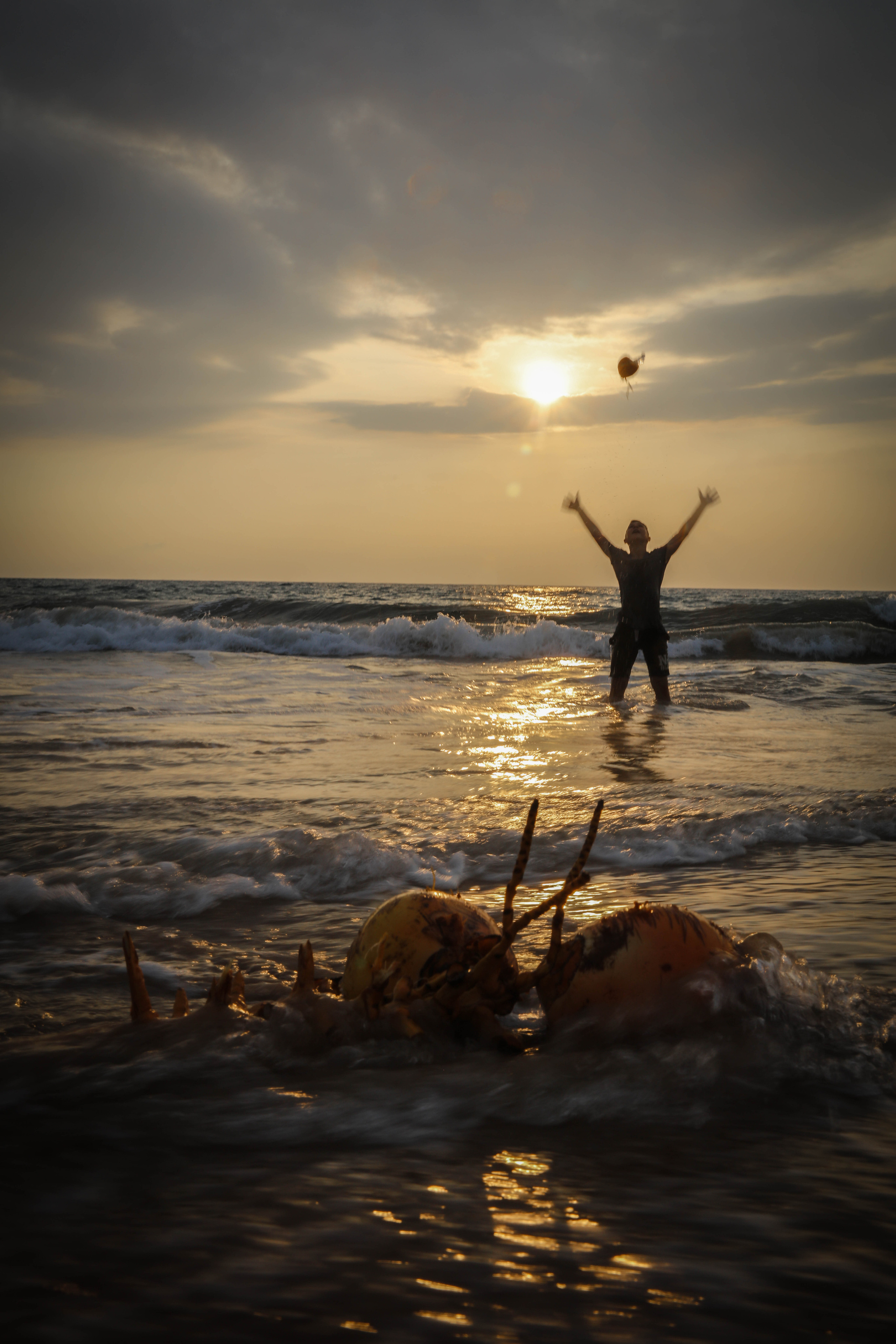 2019 — Шри Ланка. OneSnap