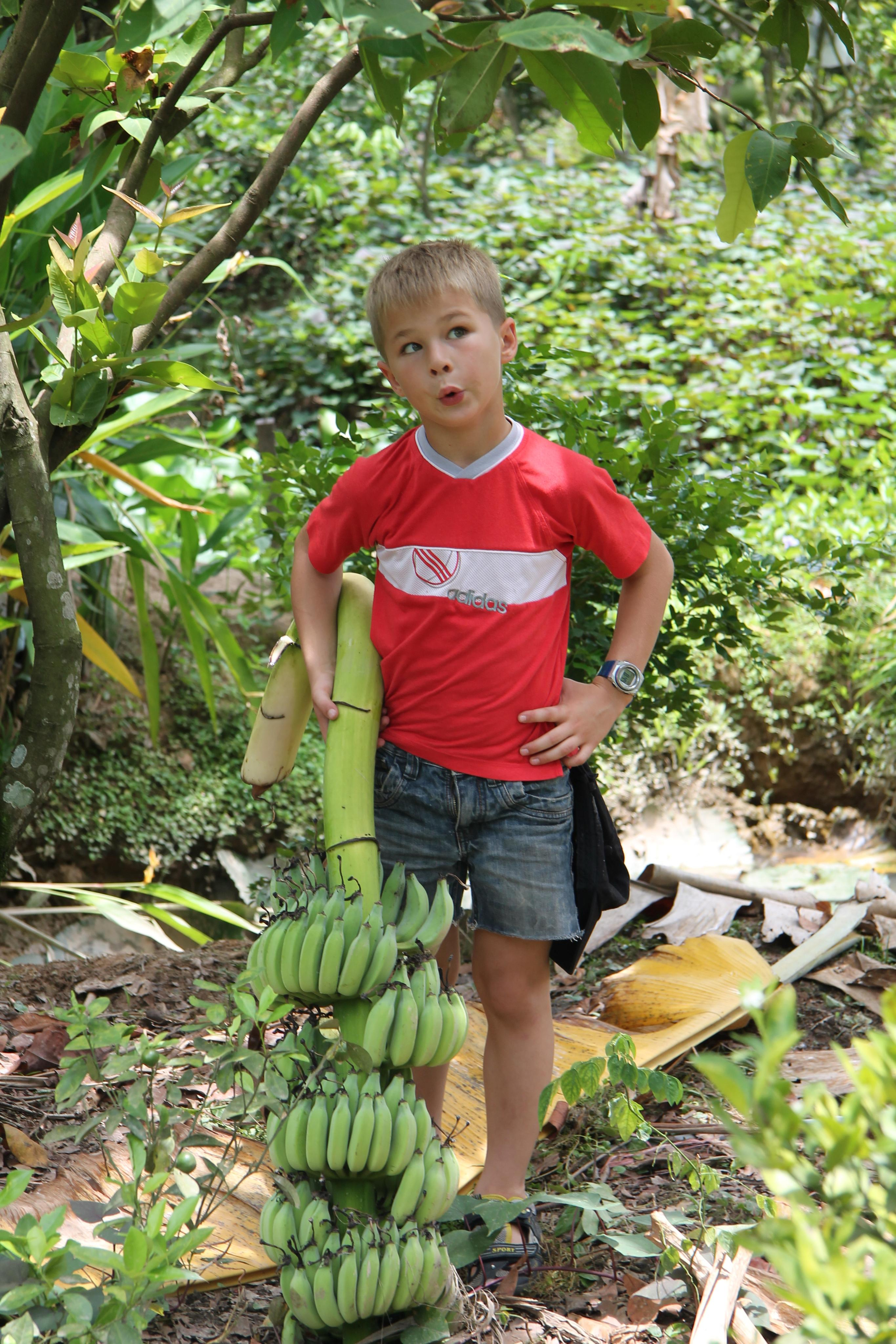 2013 — Камбоджа, Вьетнам. OneSnap