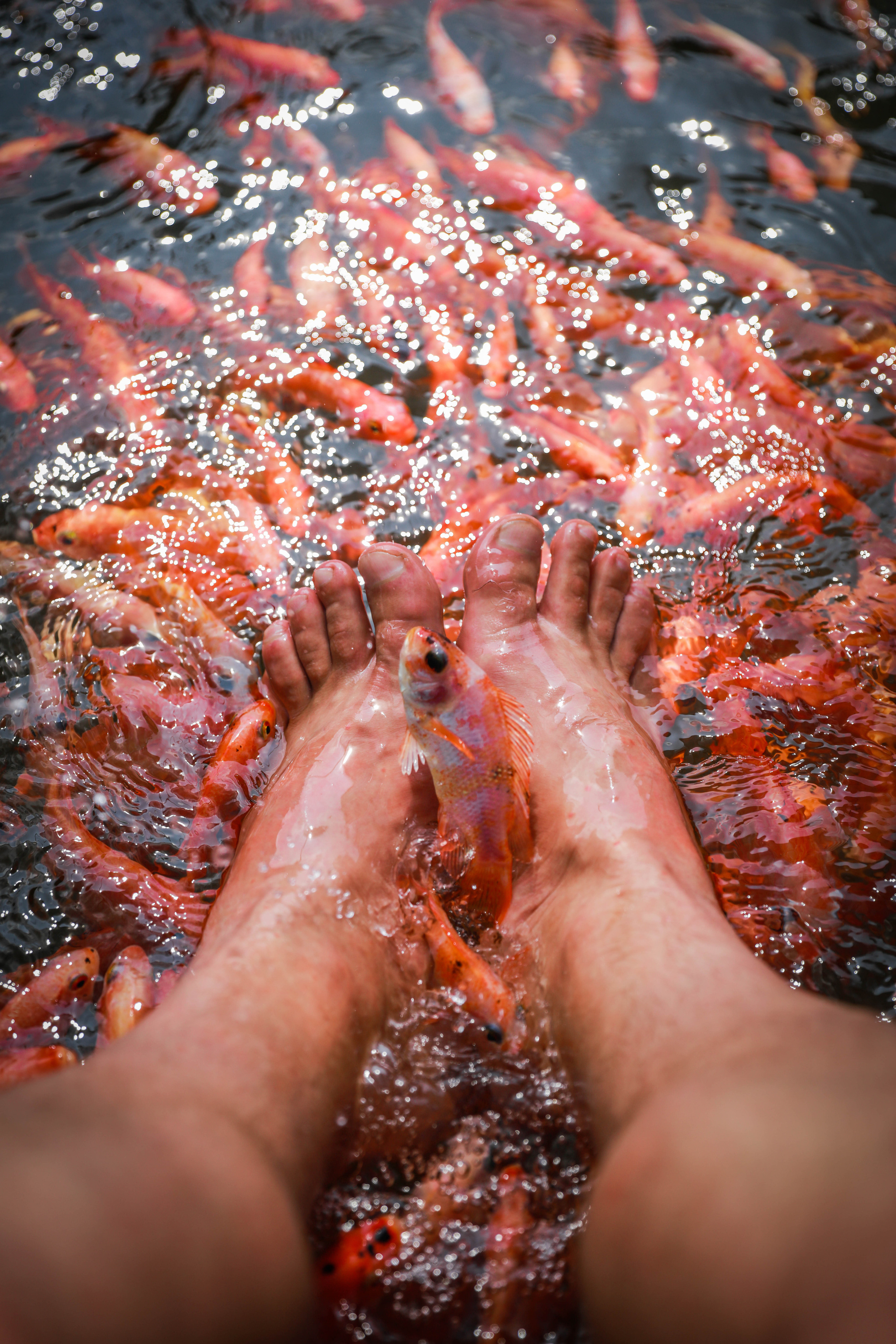 2019 — Шри Ланка. OneSnap