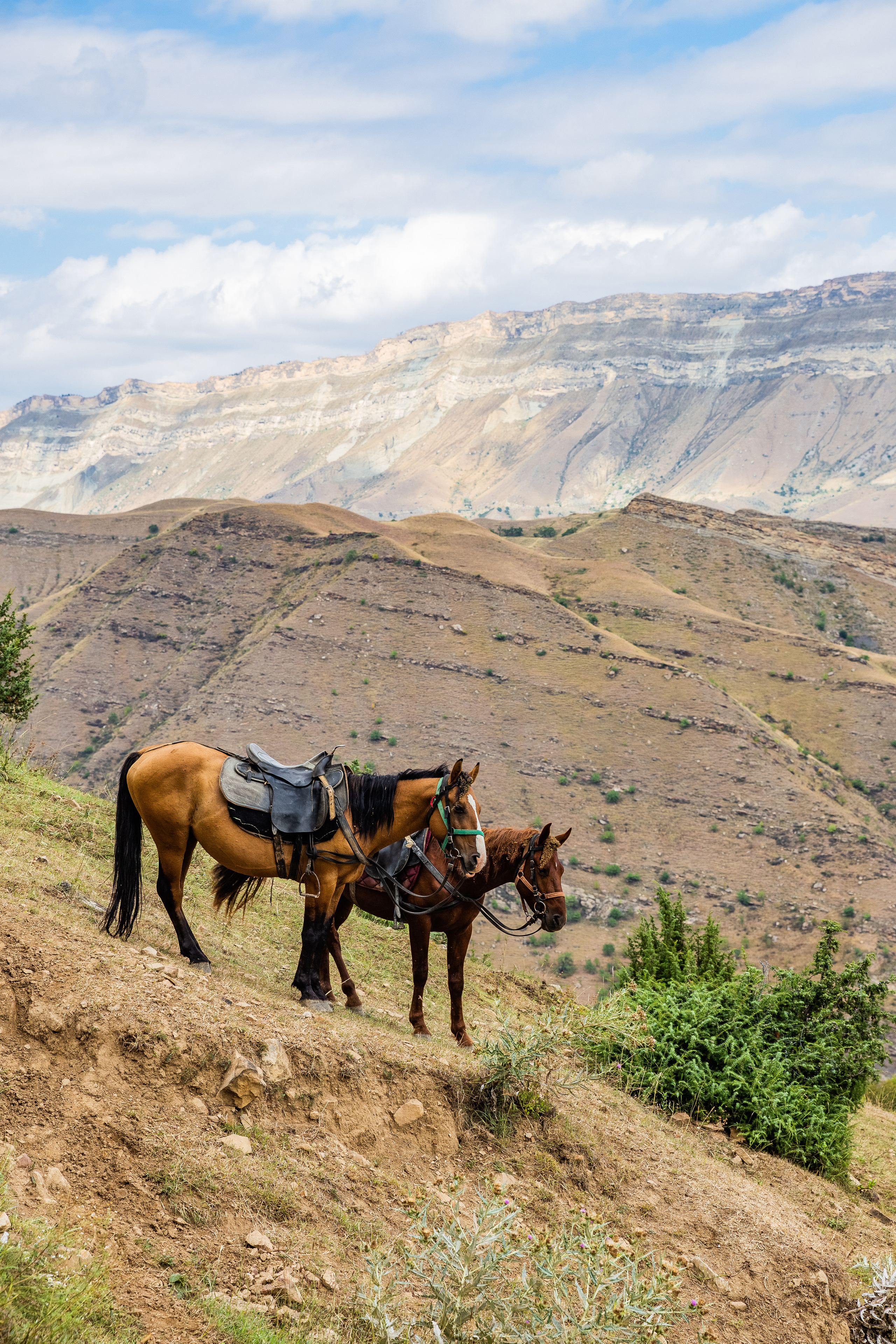 2022 — Дагестан. OneSnap