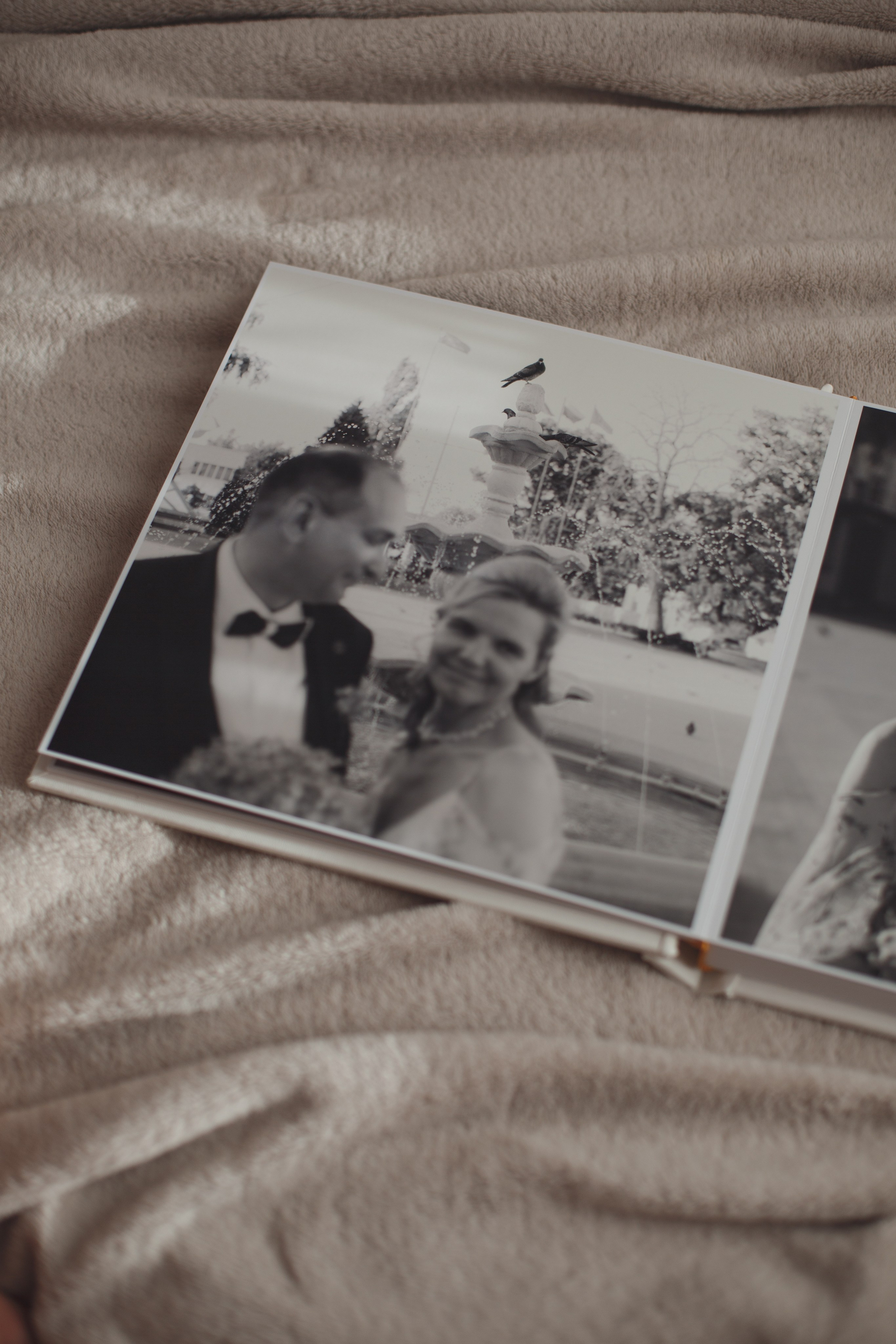 Свадебный и контент фотограф в Белгороде Ярослав Гаврилейченко