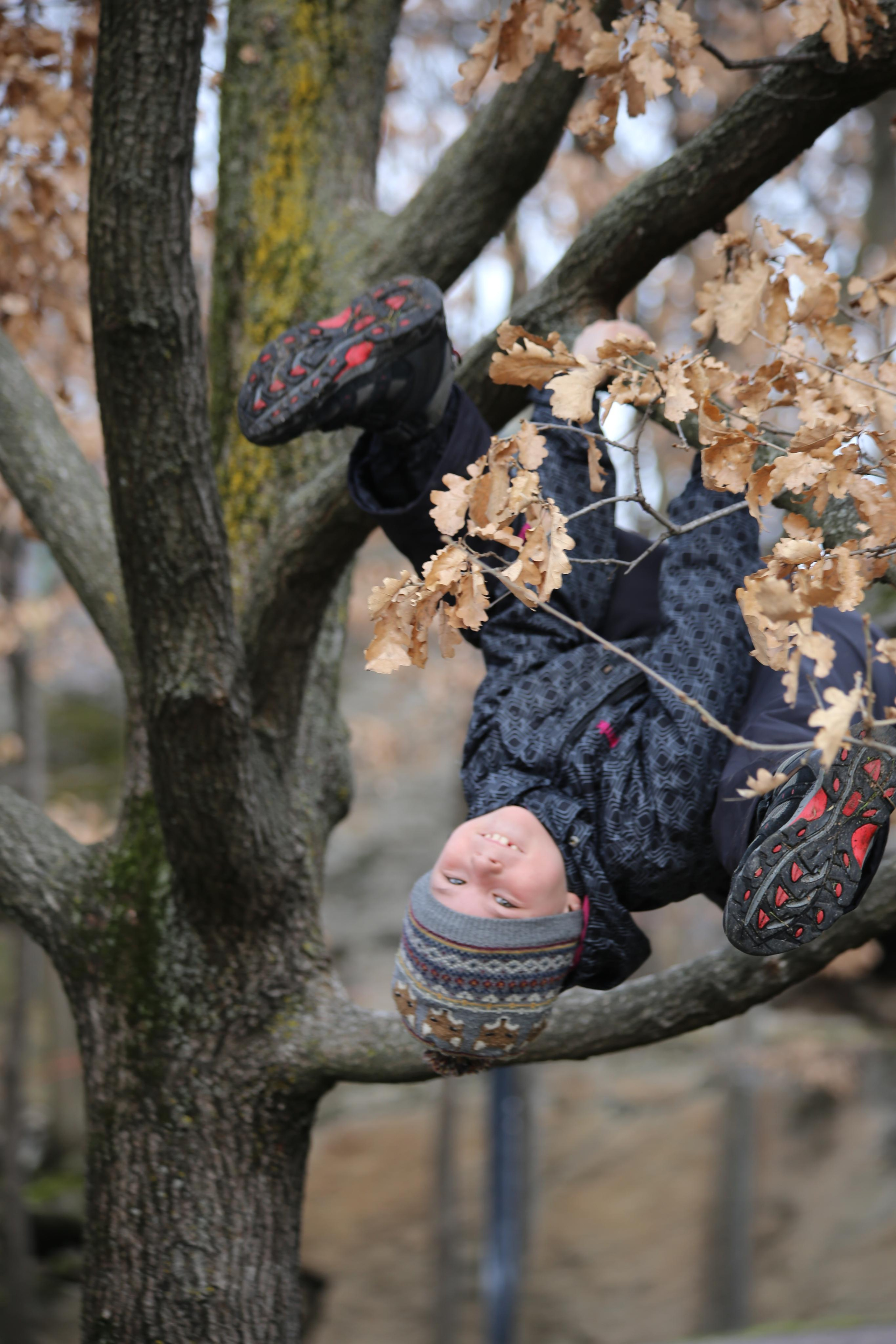 2014 — Альпы: Италия, Франция, Швейцария. OneSnap