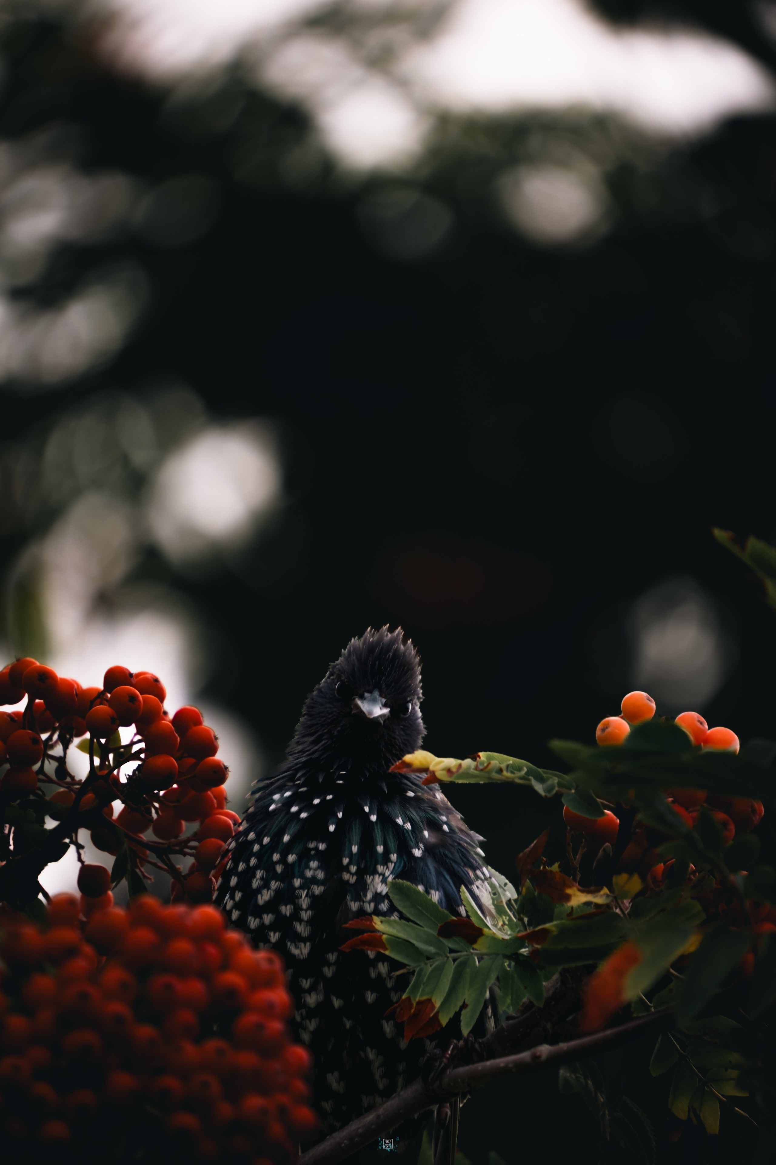 Beauties. M. Neizvestniy — уличная и спортивная фотография