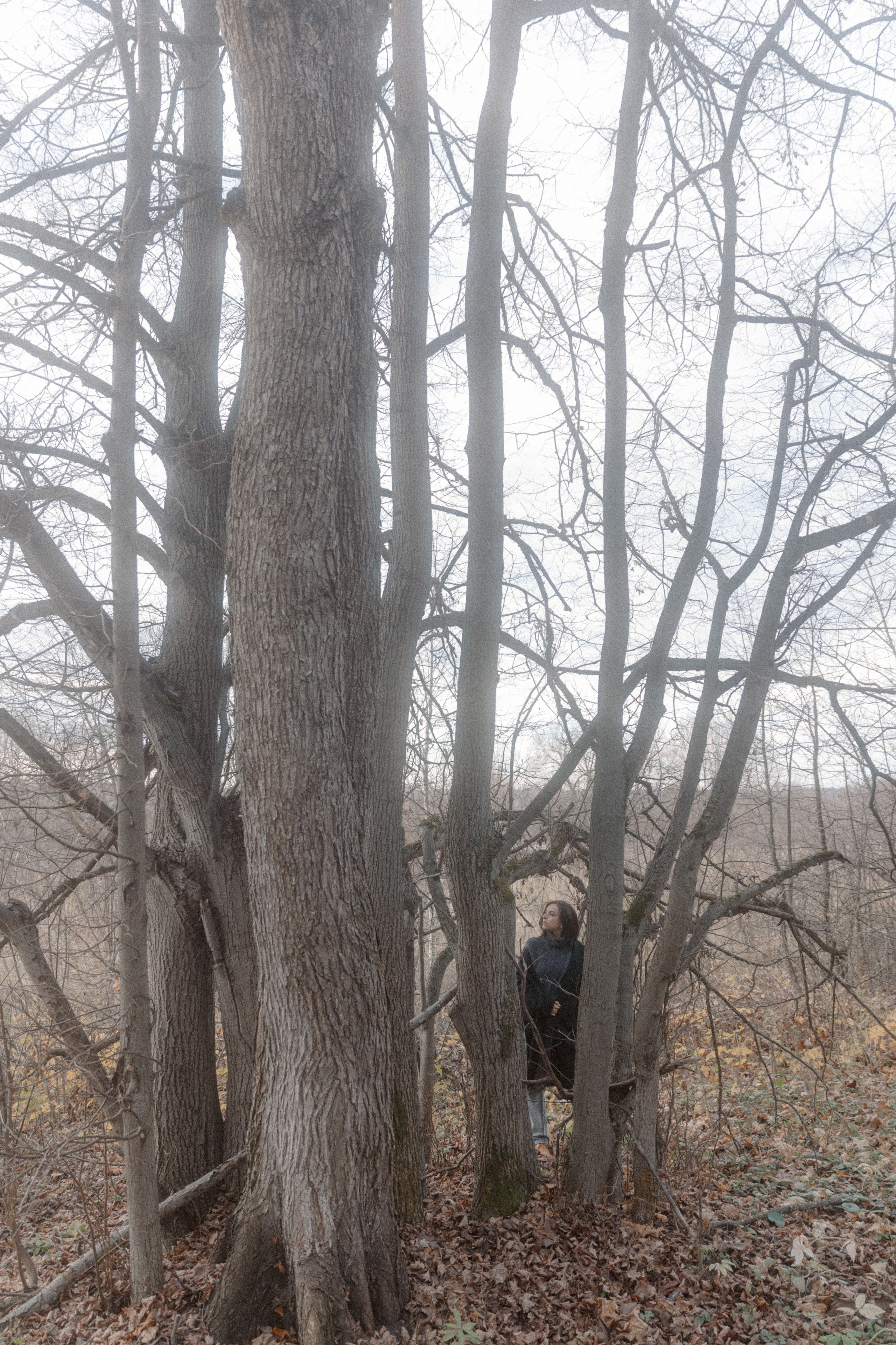 Solitude. Свадебный фотограф Колесников Антон