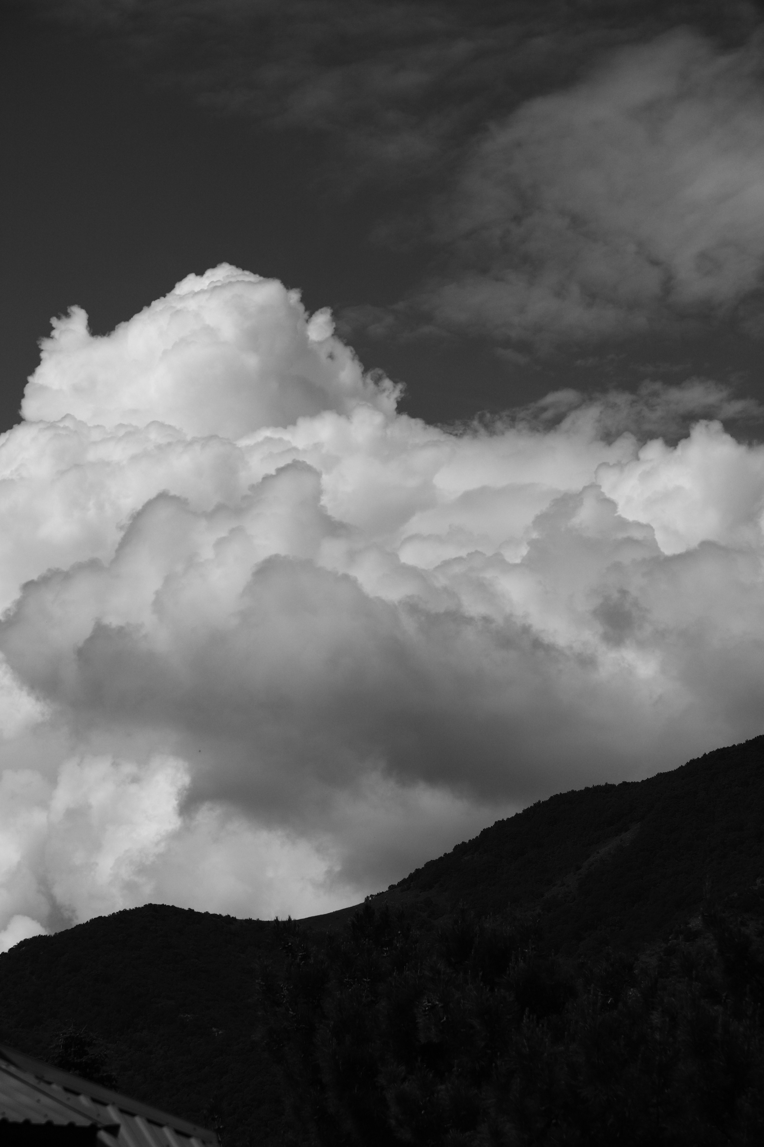 Челлендж по фотосъемке