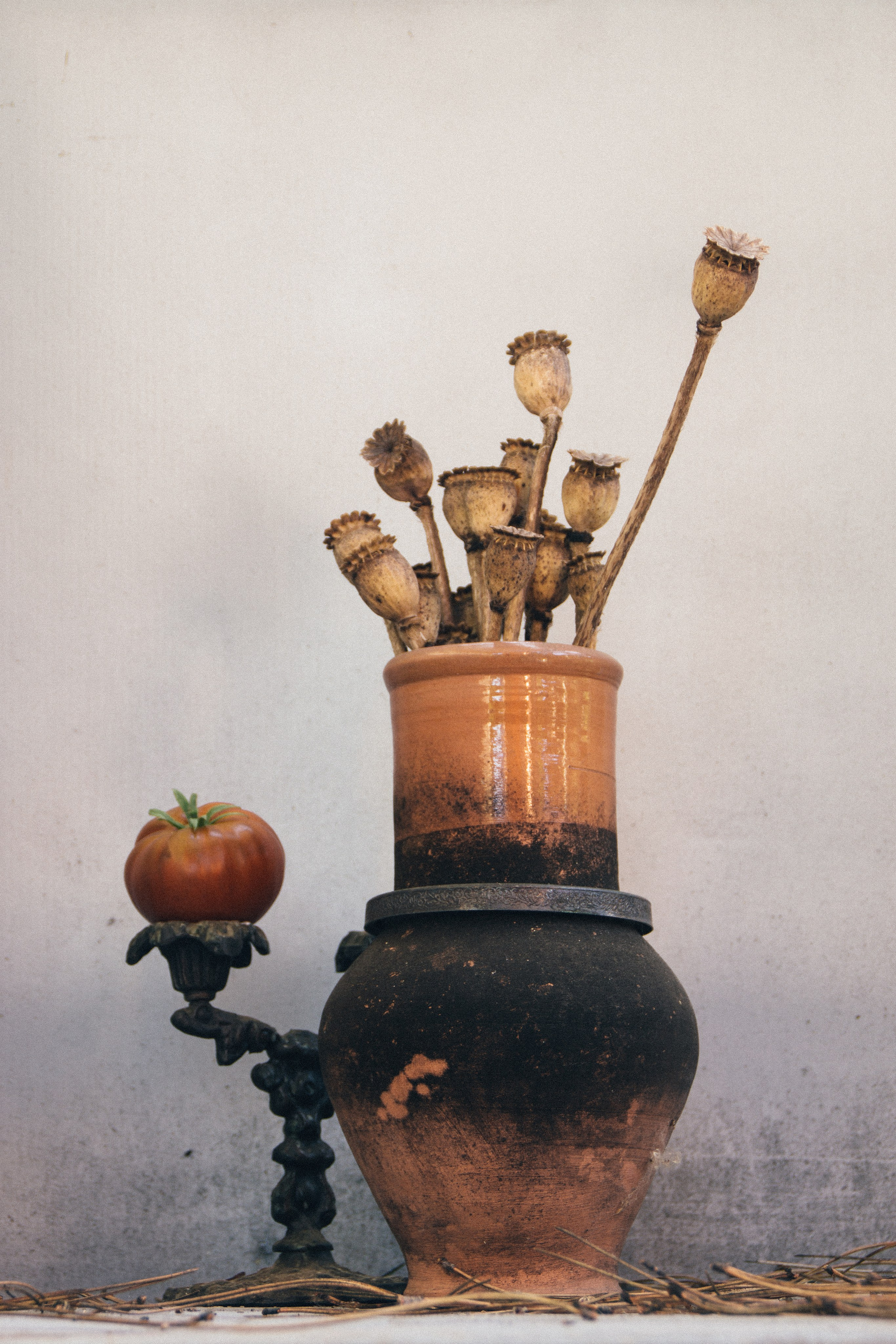 Купить фото Юлия Стремского. Фотография Стремского