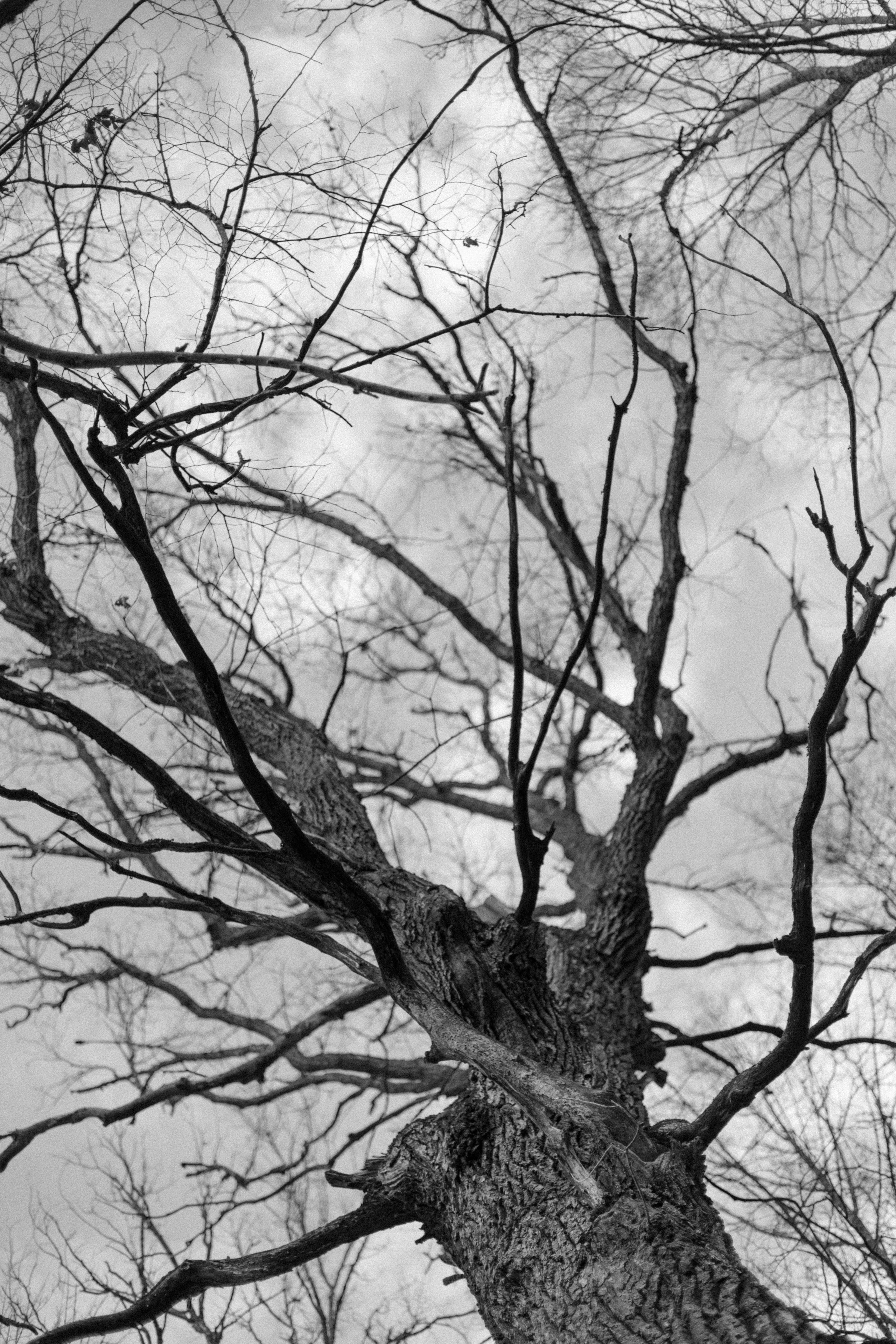 Solitude. Свадебный фотограф Колесников Антон