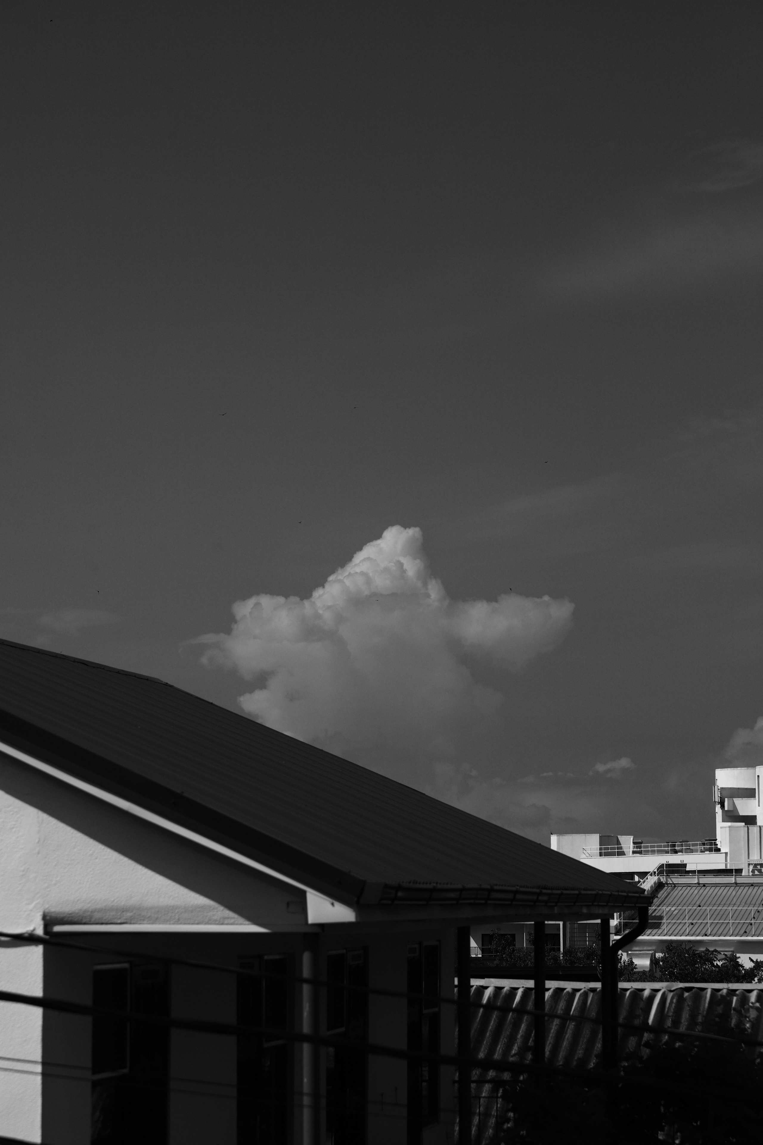 Челлендж по фотосъемке