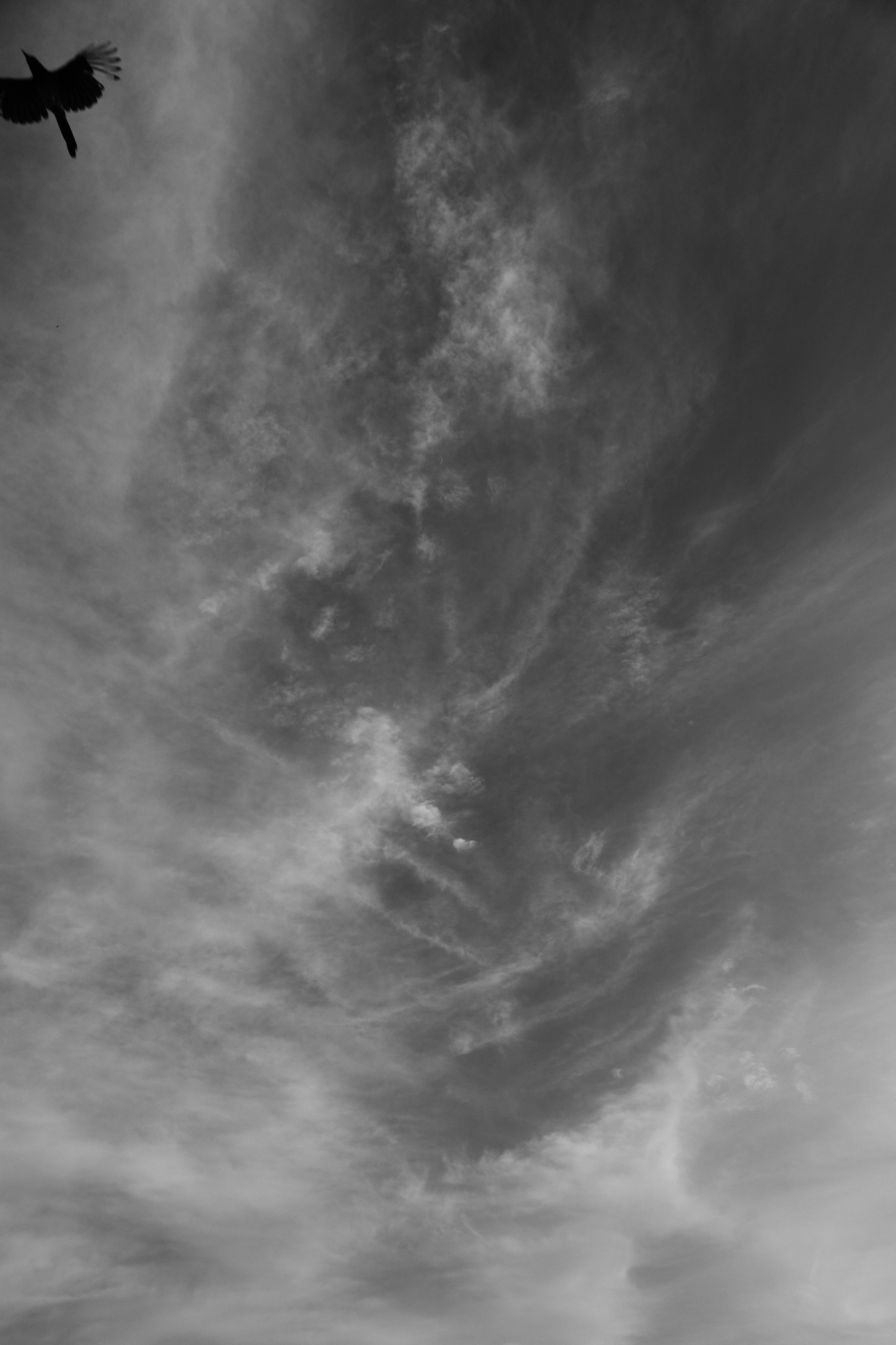 Челлендж по фотосъемке