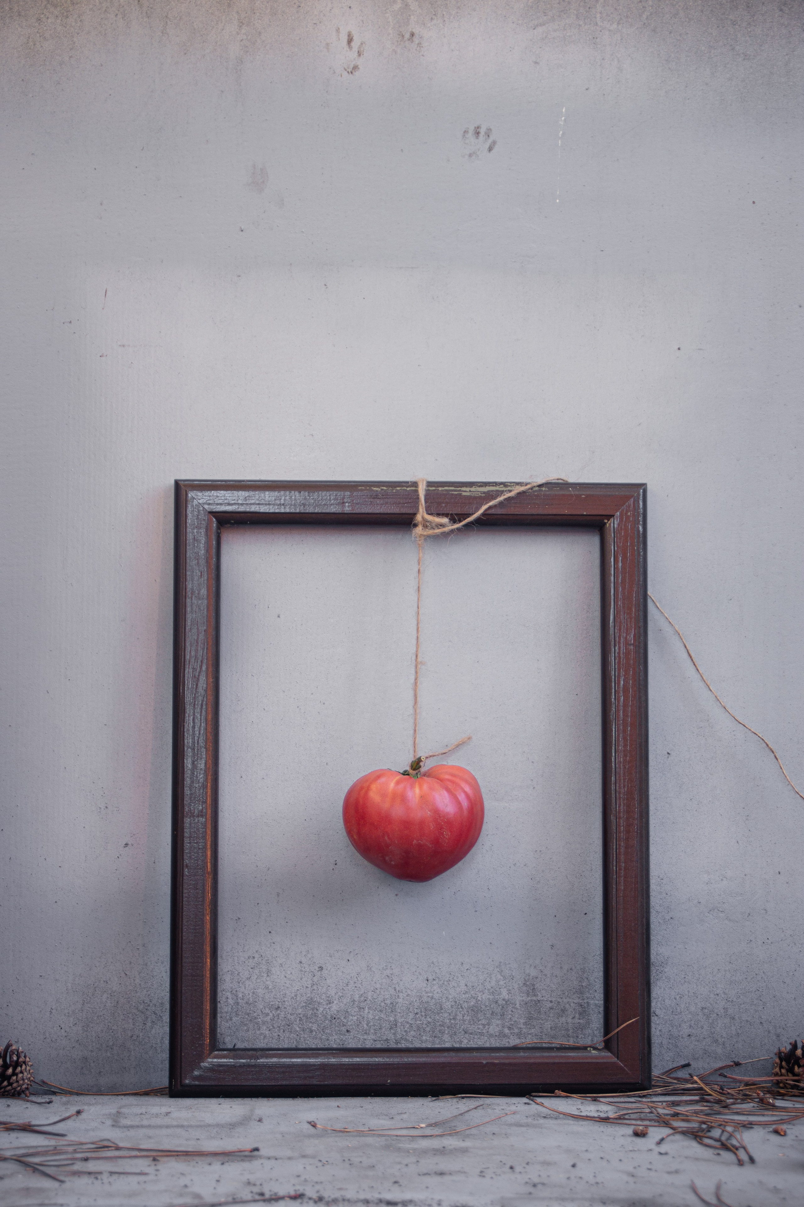 Купить фото Юлия Стремского. Фотография Стремского