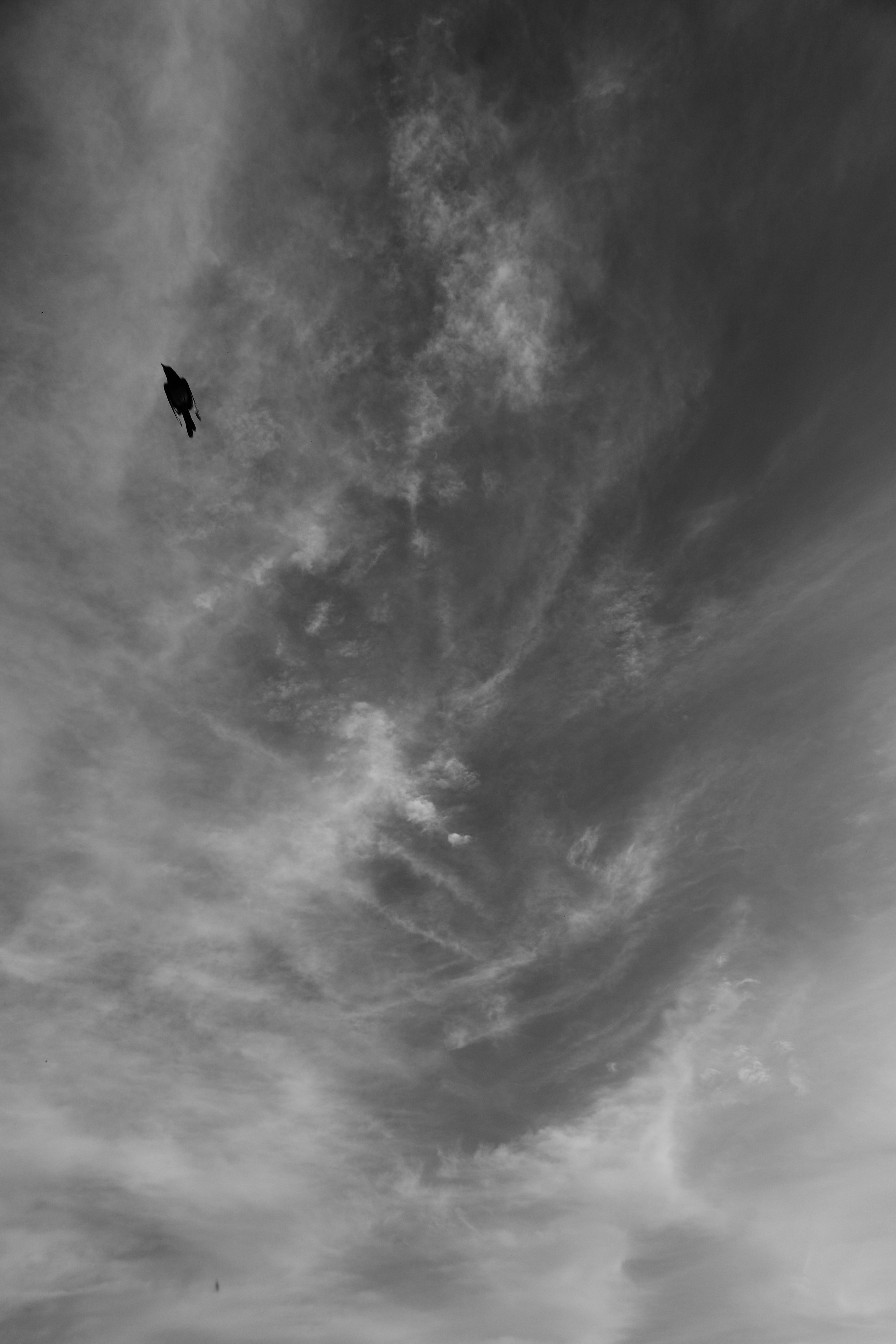 Челлендж по фотосъемке