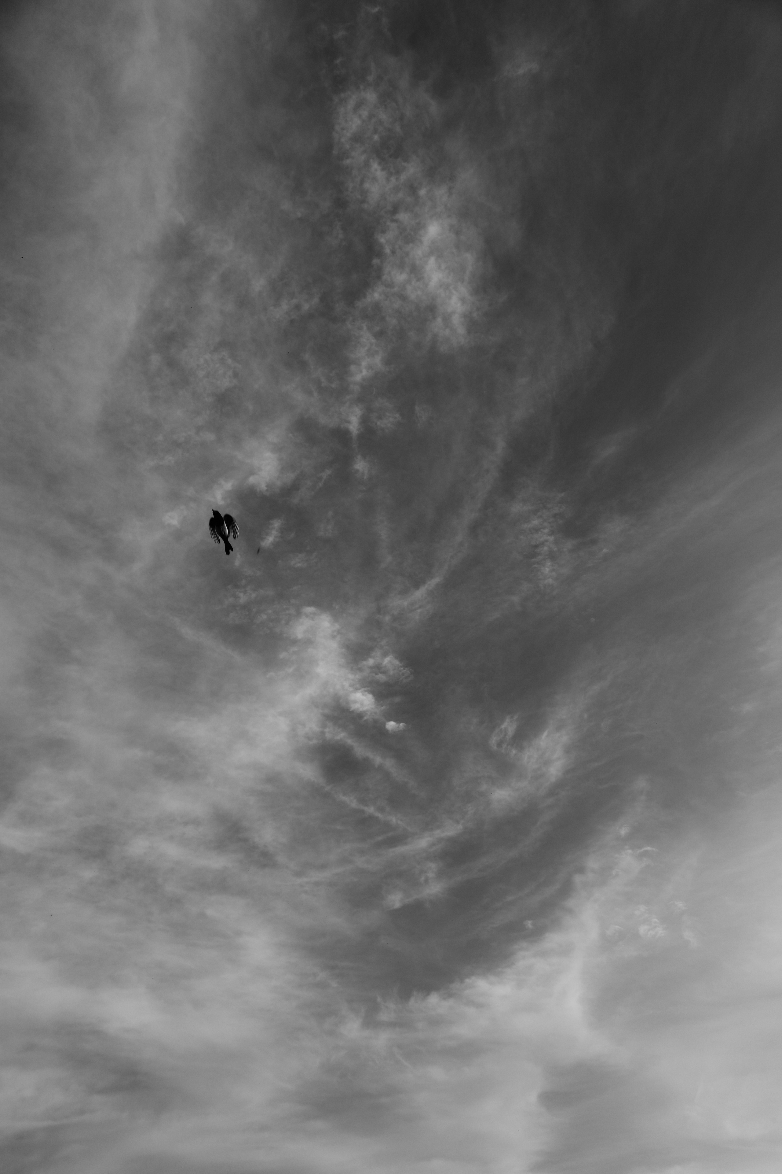 Челлендж по фотосъемке