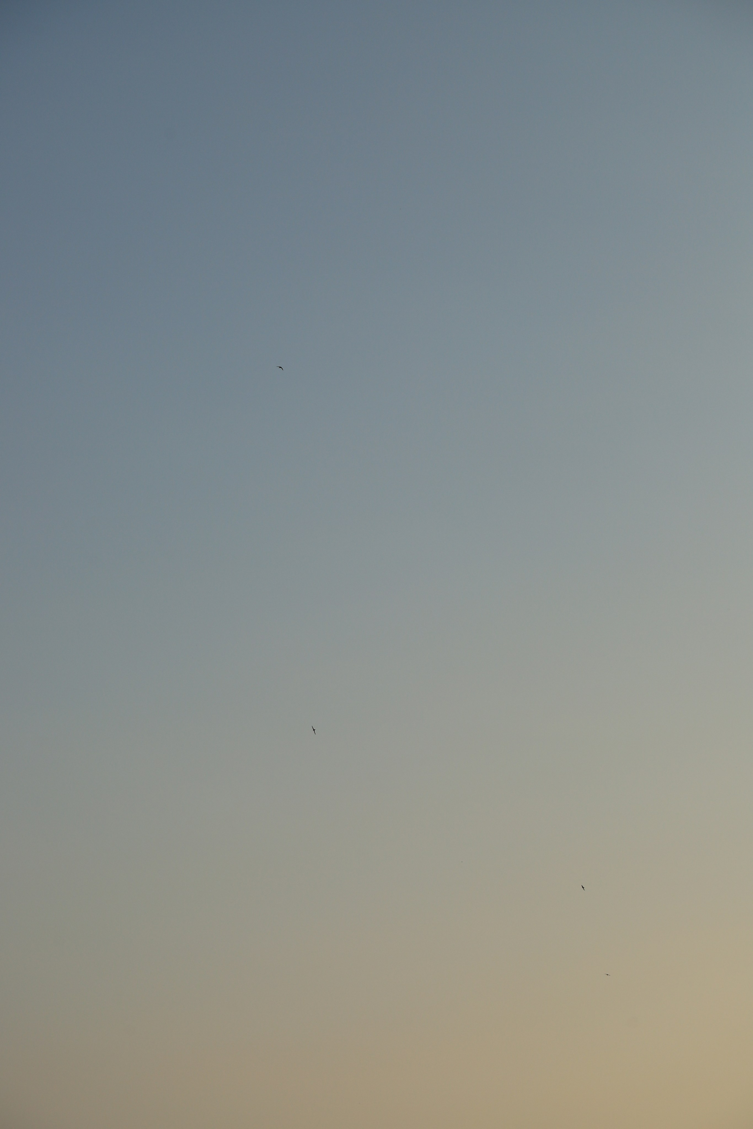 Челлендж по фотосъемке