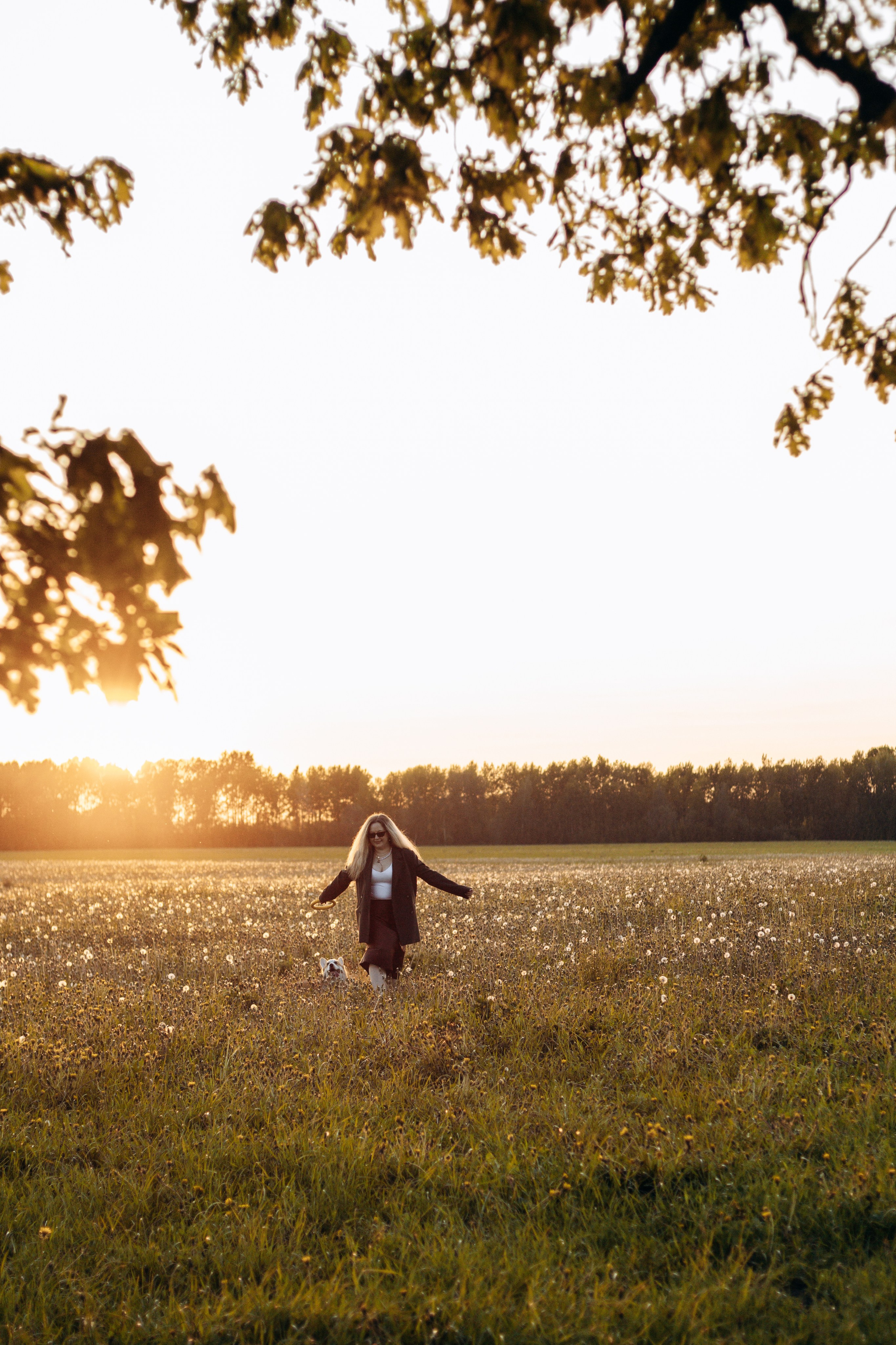 Услуги. Фотограф-анималист в Санкт-Петербурге