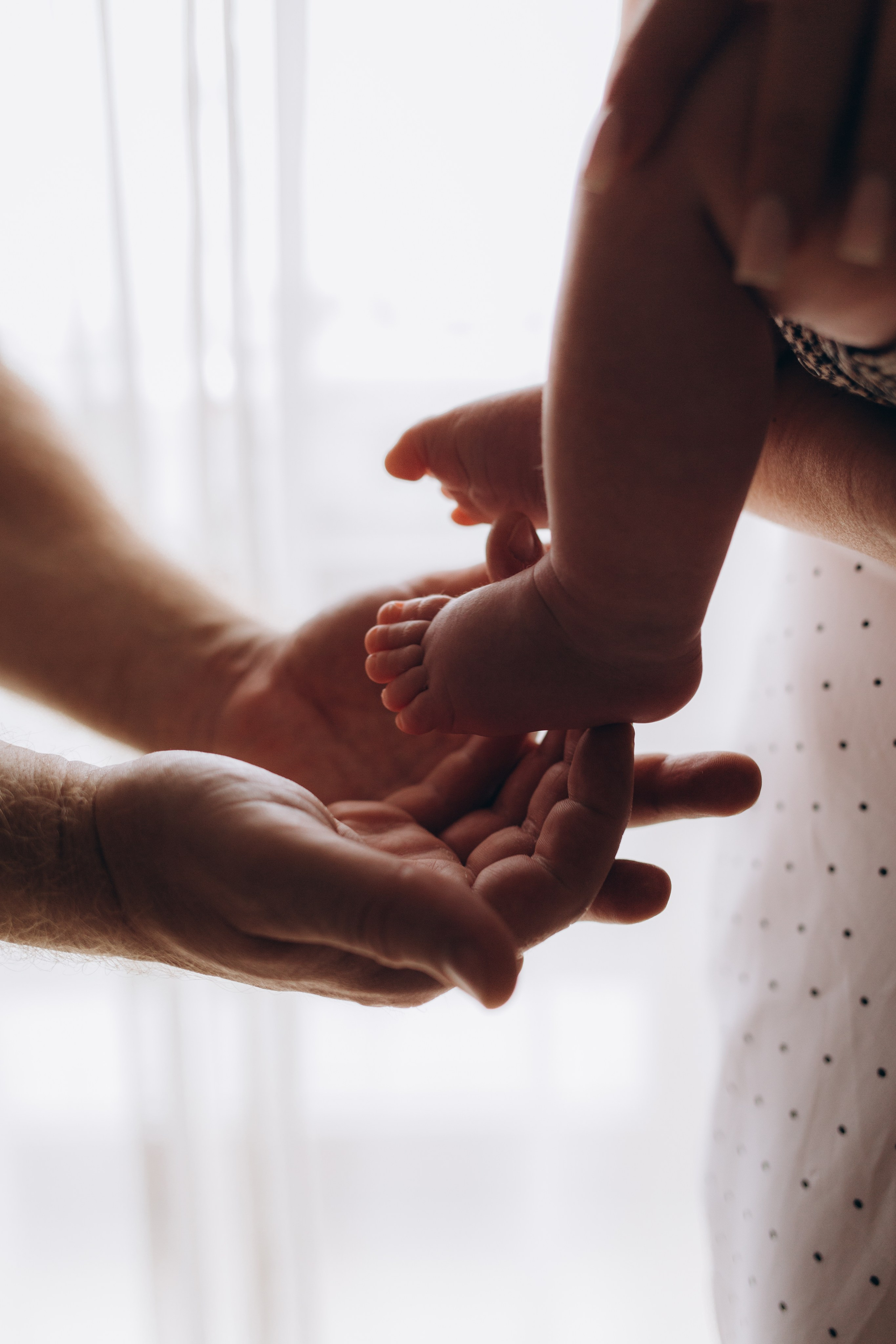 Услуги. Фотограф новорожденных в Санкт-Петербурге Белова Екатерина