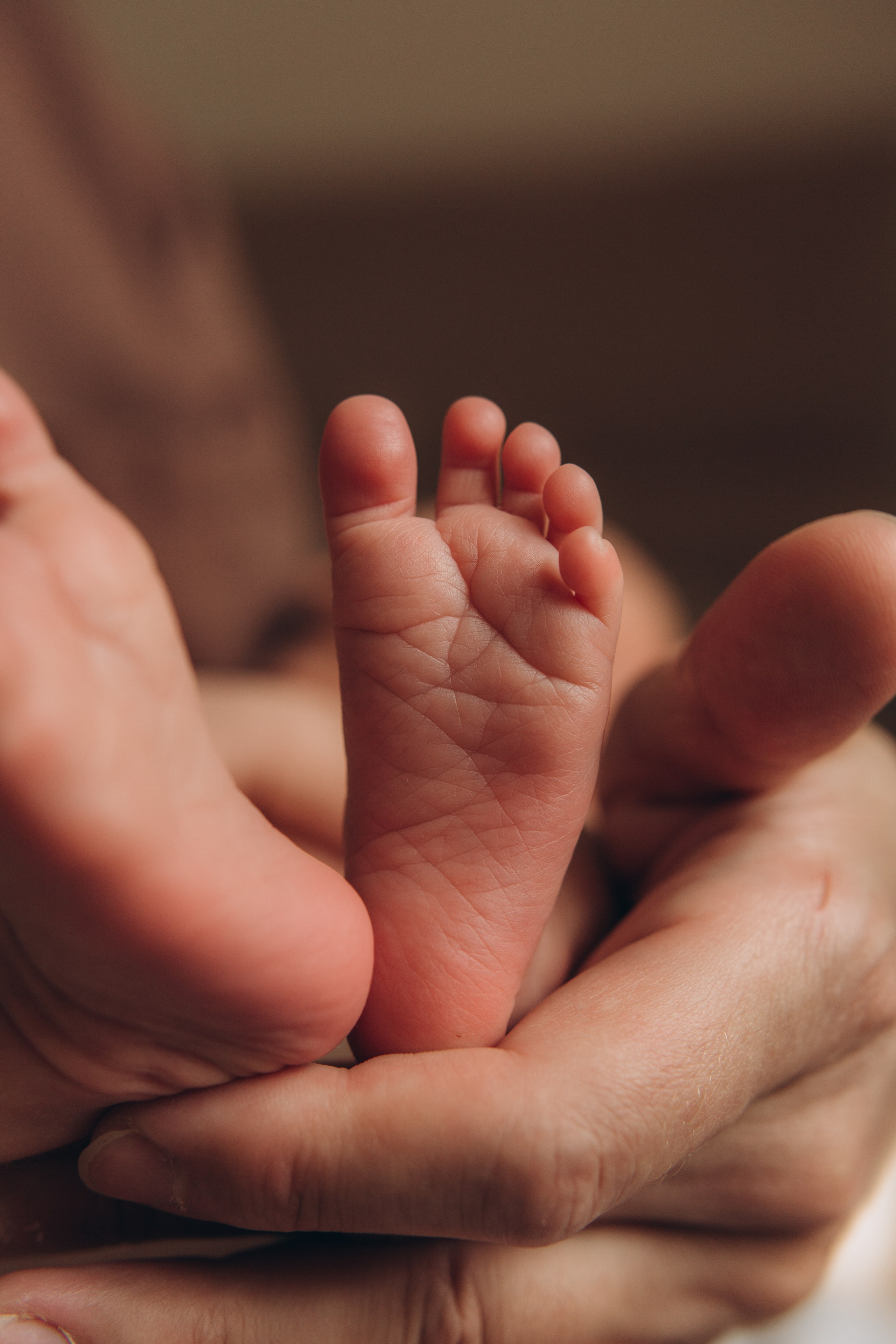 Услуги. Фотограф новорожденных в Санкт-Петербурге Белова Екатерина