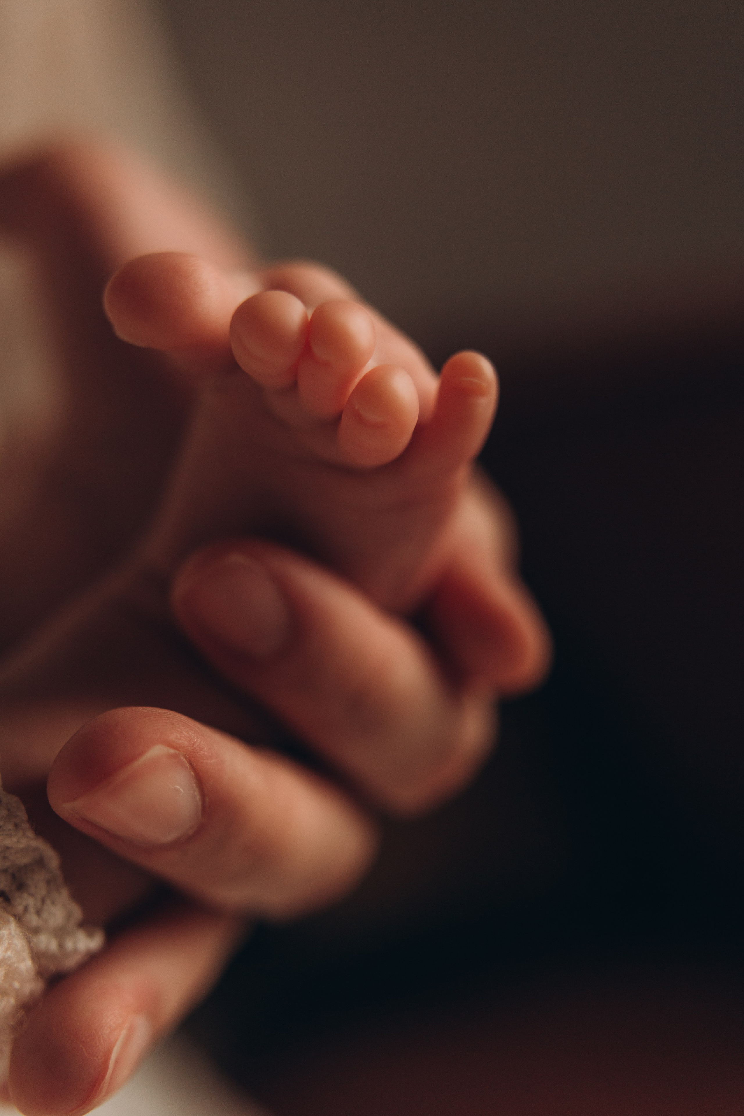 Услуги. Фотограф новорожденных в Санкт-Петербурге Белова Екатерина