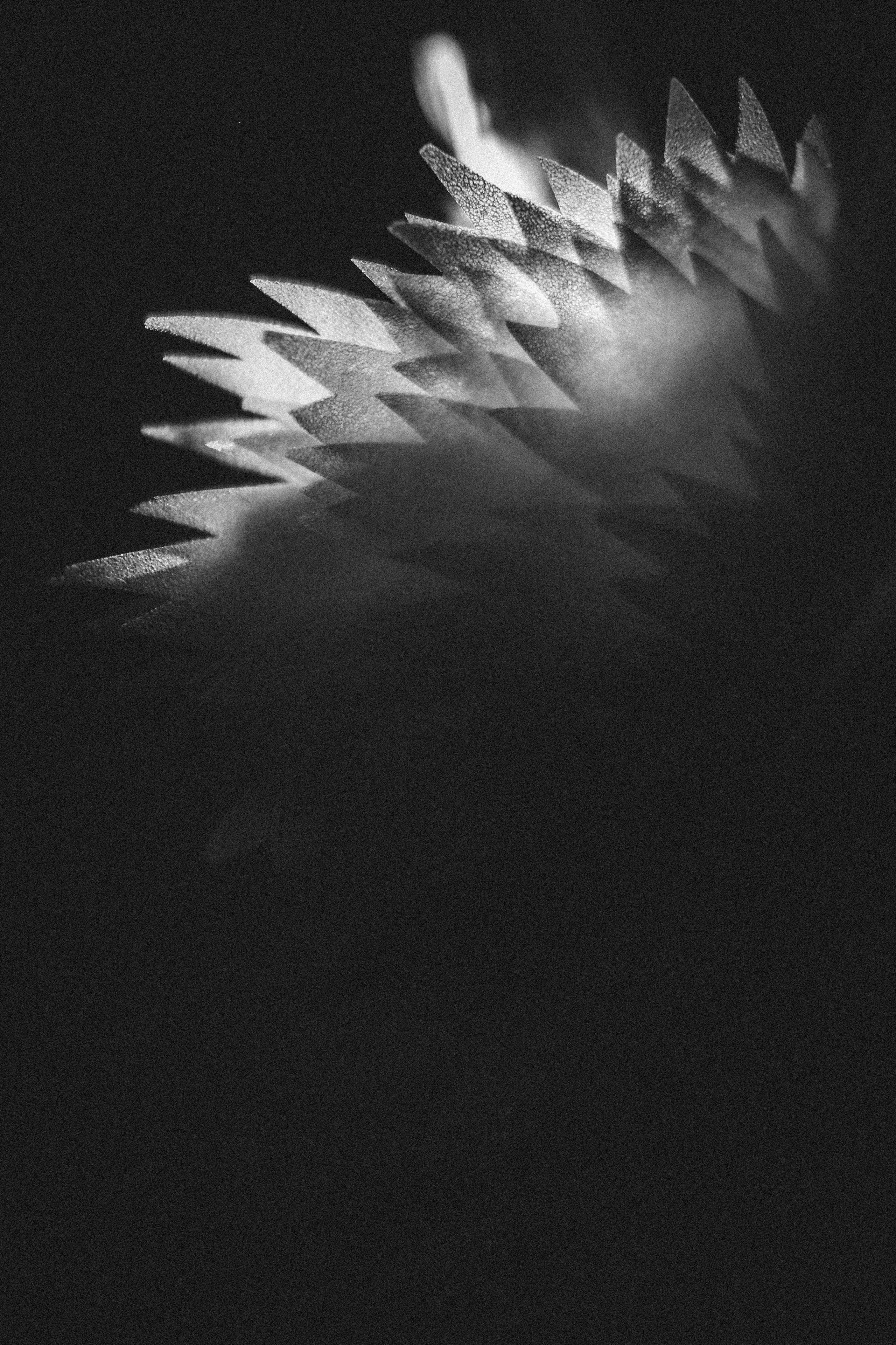 ФОТОИСТОРИИ. Фотограф Ольга Федосенко, г. Гродно