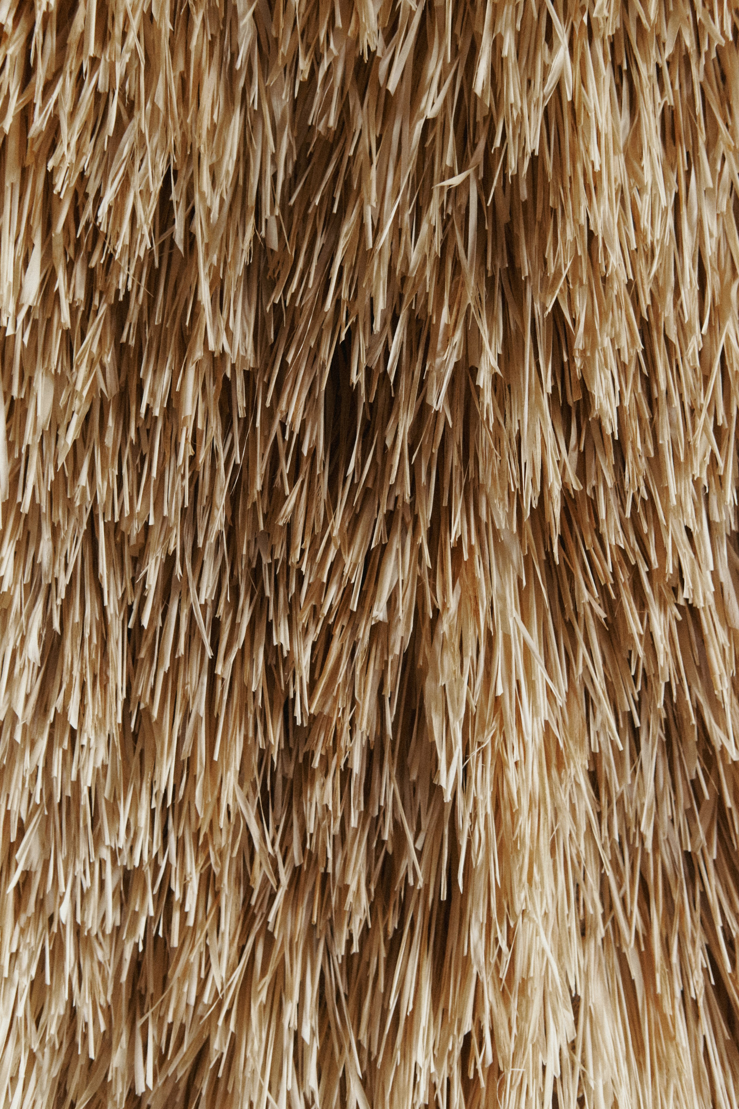 Интервью с Анастасией Волковой — Candy Lamp. Семейный фотограф в Новосибирске Артём Кузнецов